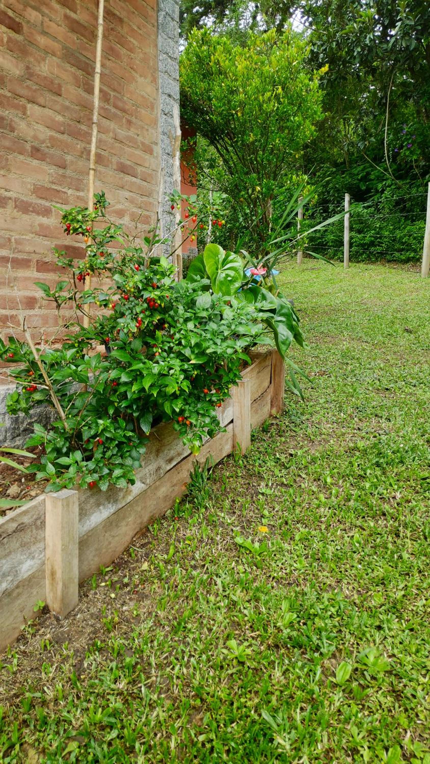 Casa Dona Zezé