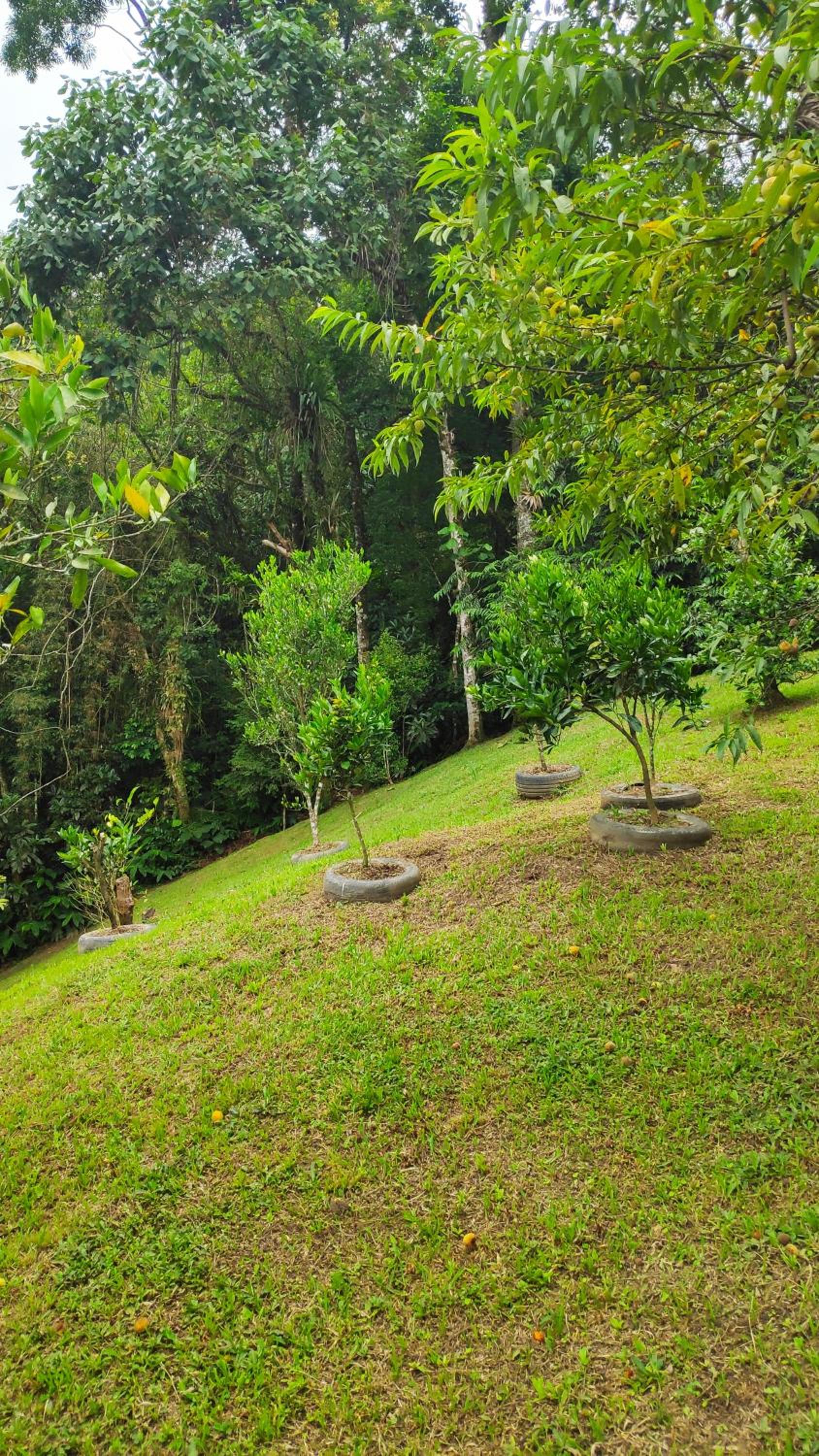 Casa Dona Zezé