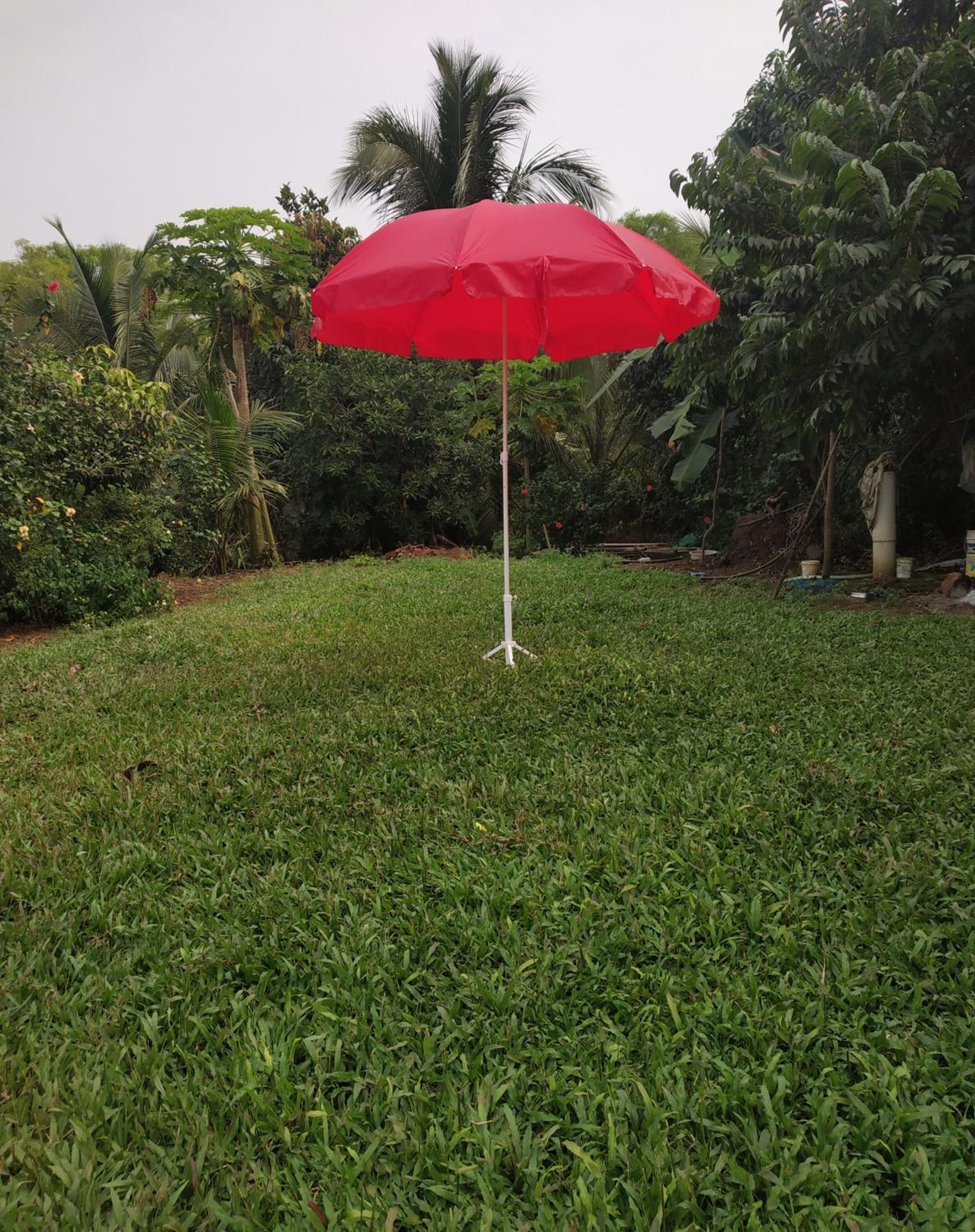 Photo 42
