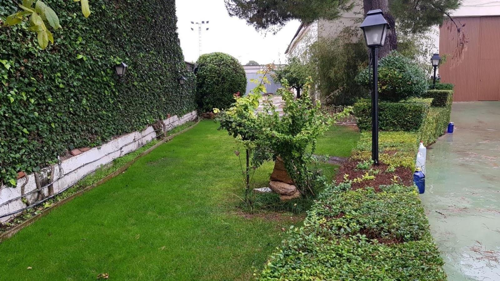 Photo 10