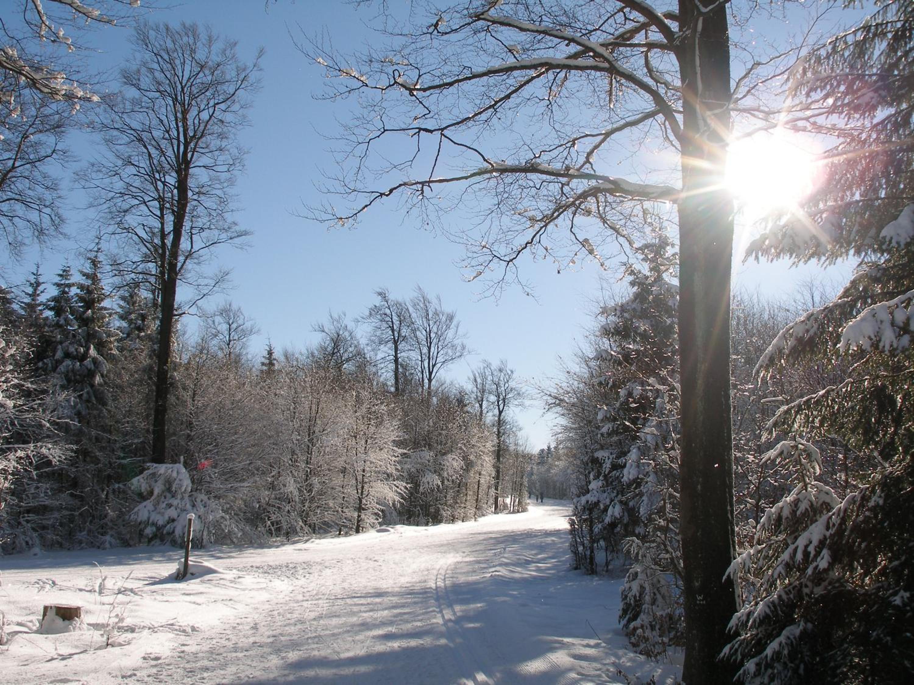 Pension Haus Waldfrieden, MeineCardPlus inklusive