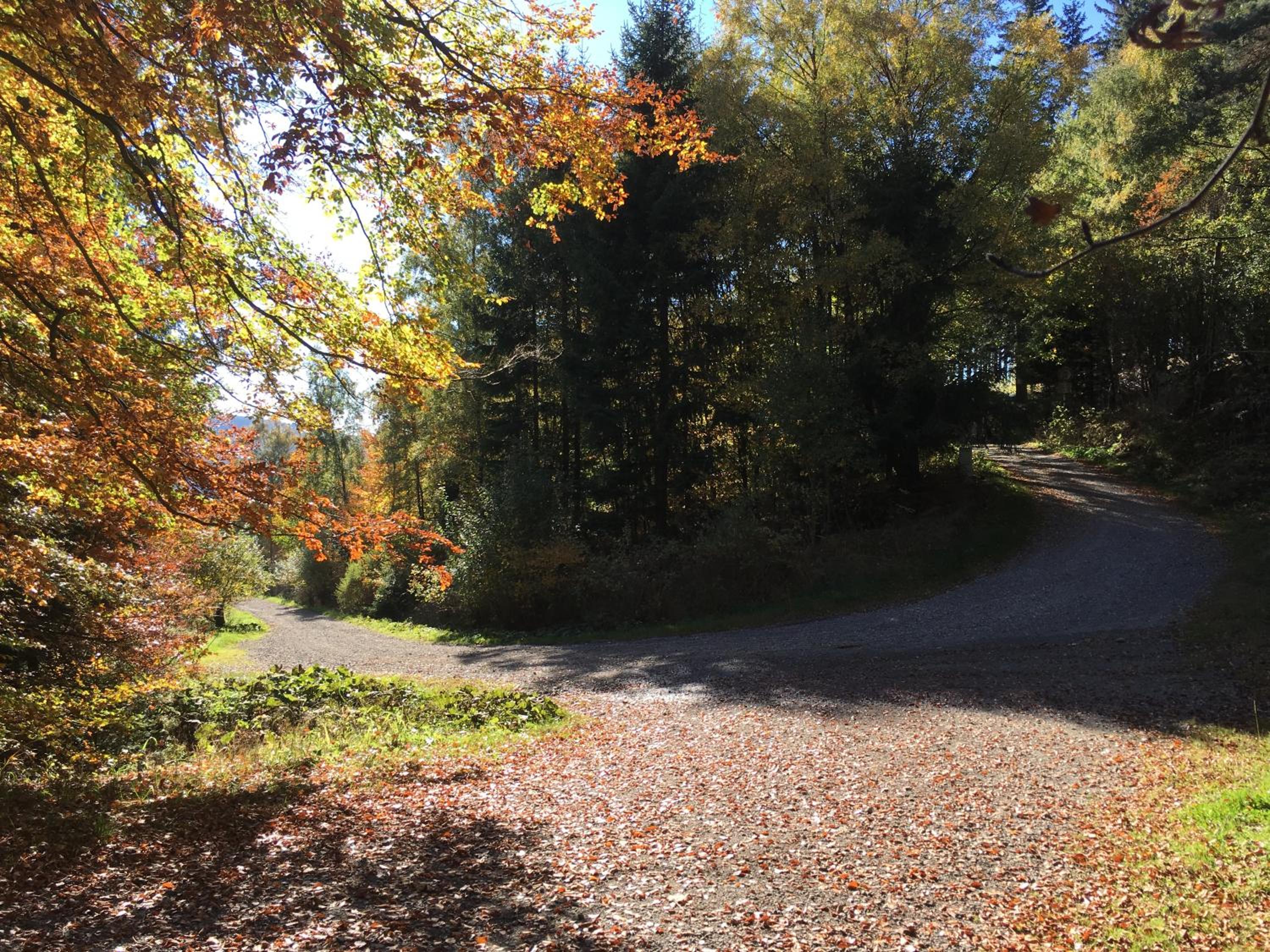 Pension Haus Waldfrieden, MeineCardPlus inklusive