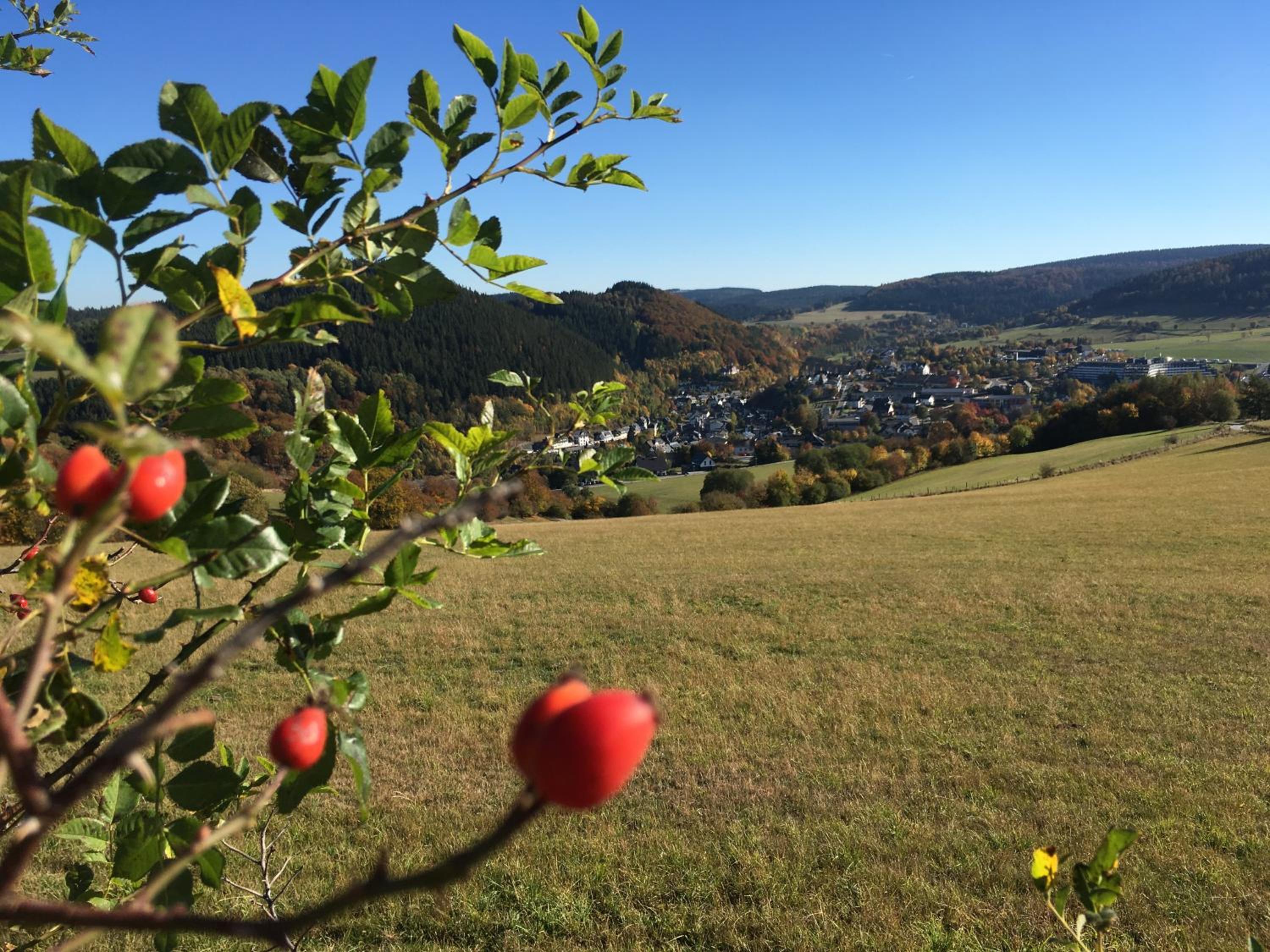Pension Haus Waldfrieden, MeineCardPlus inklusive