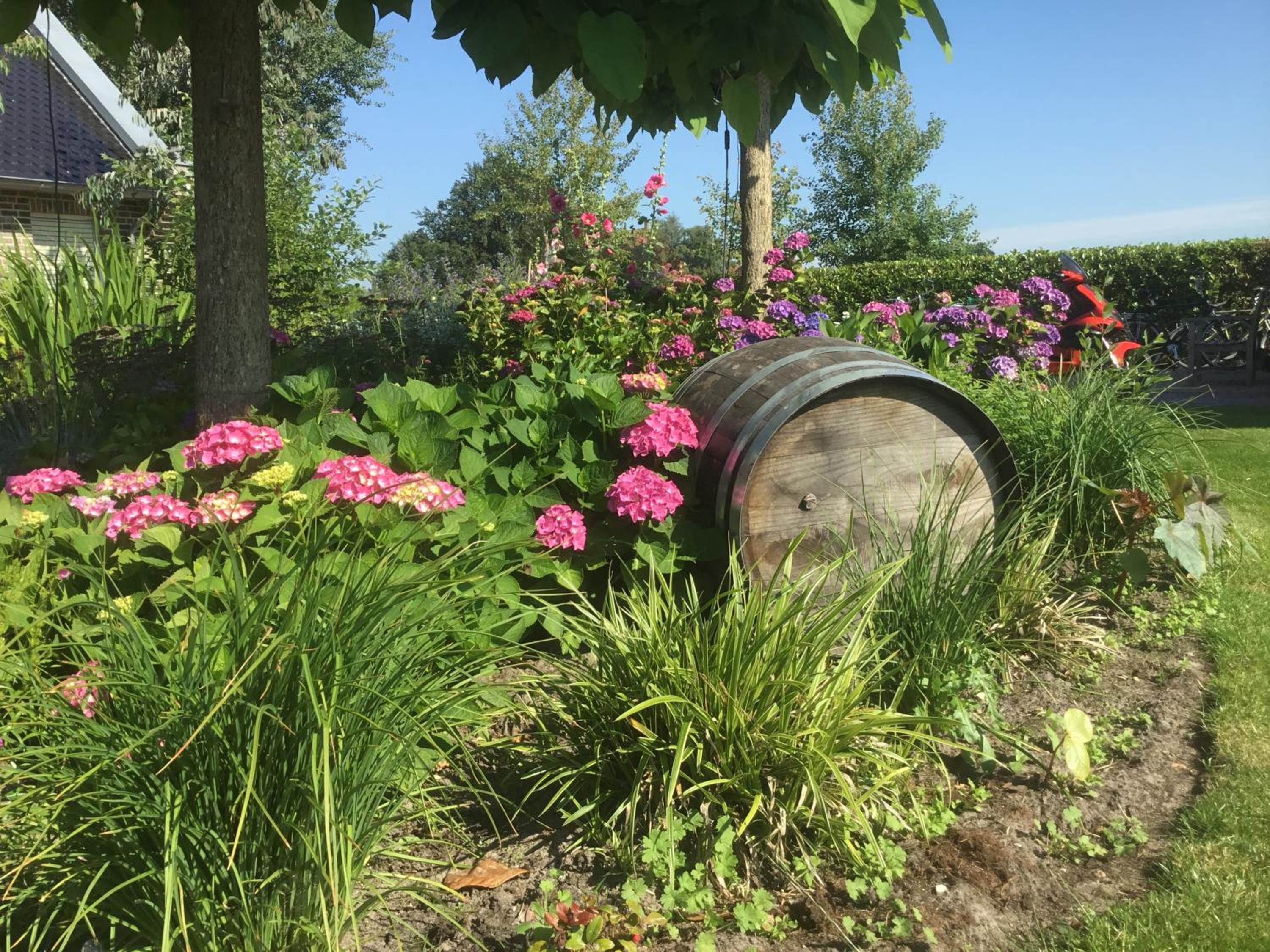 B&B Zonnedauw view 4