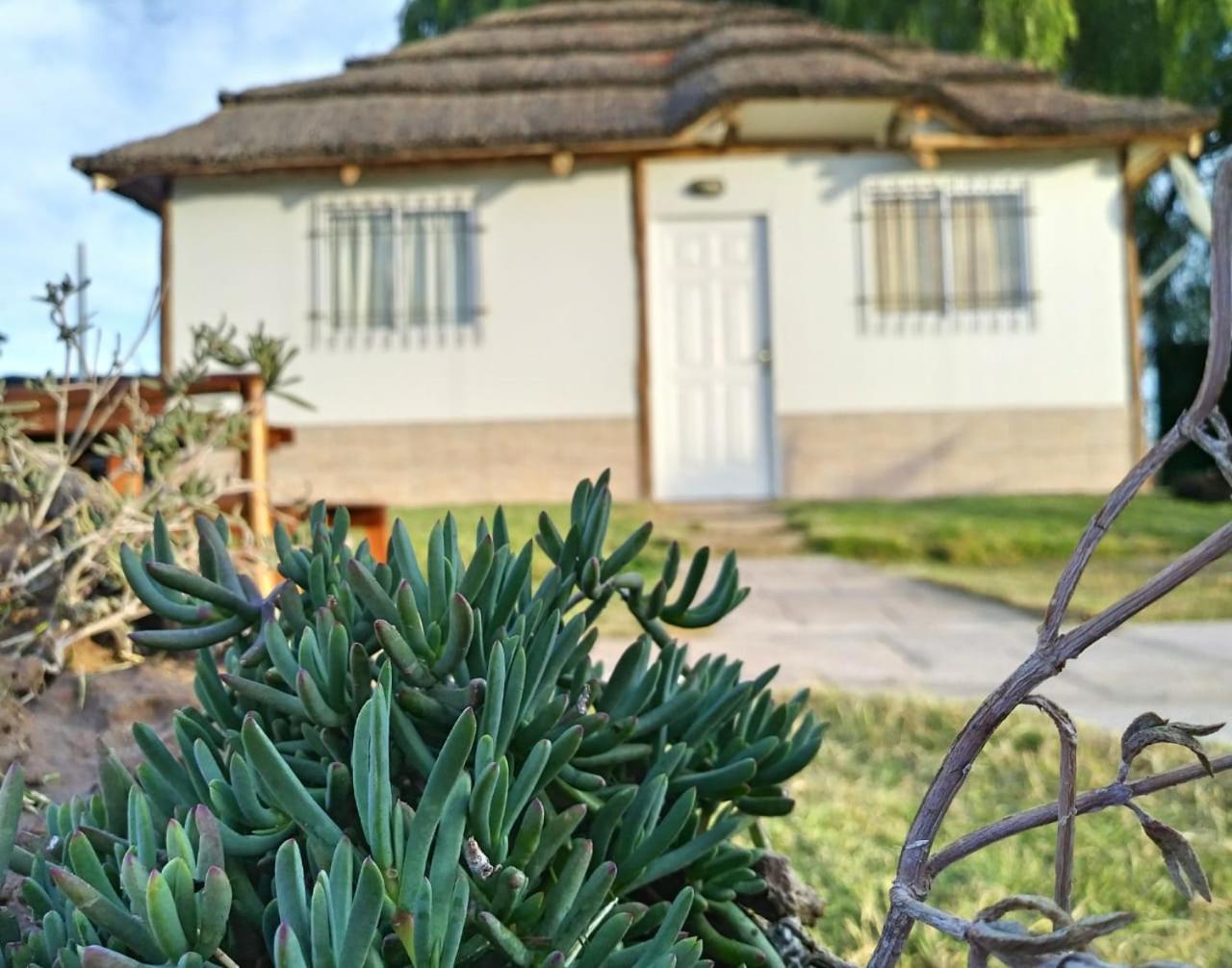 Cabañas 