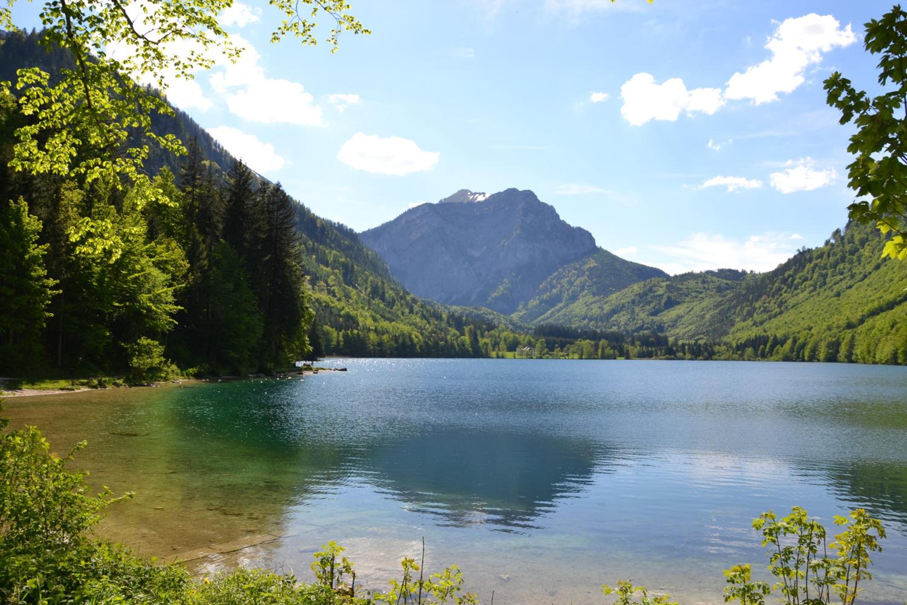 Gasthof Roitner