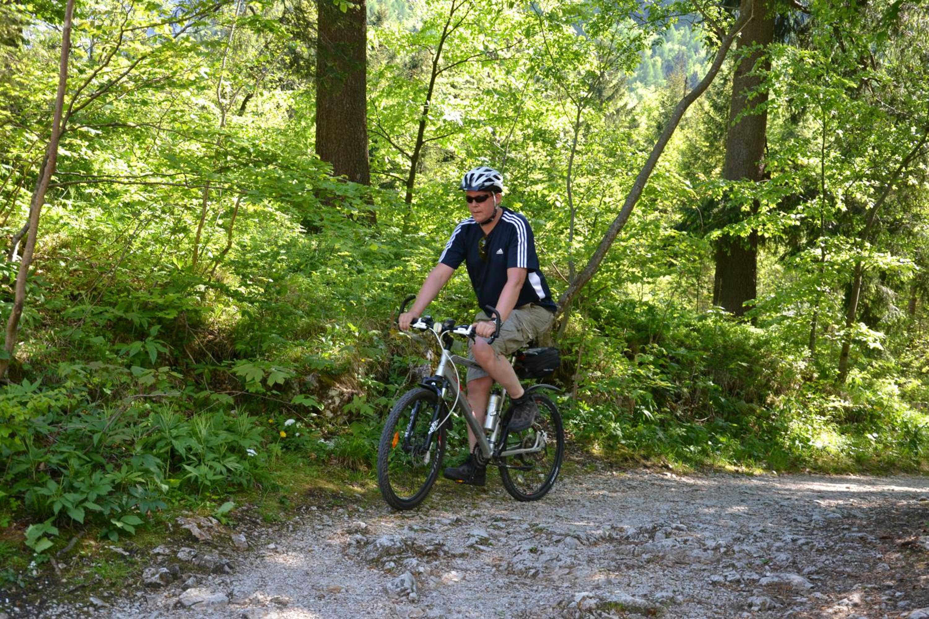 Gasthof Roitner
