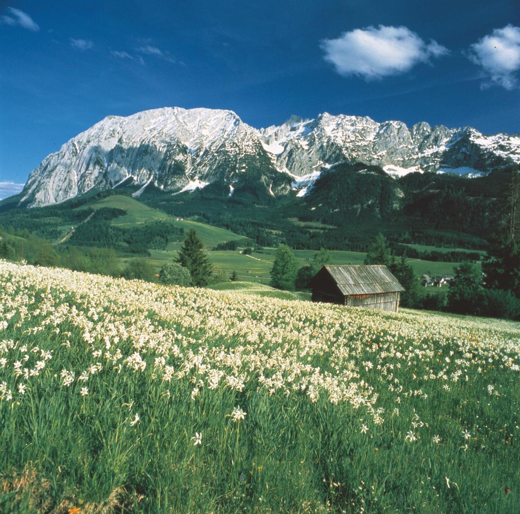 Schusterbauernhof