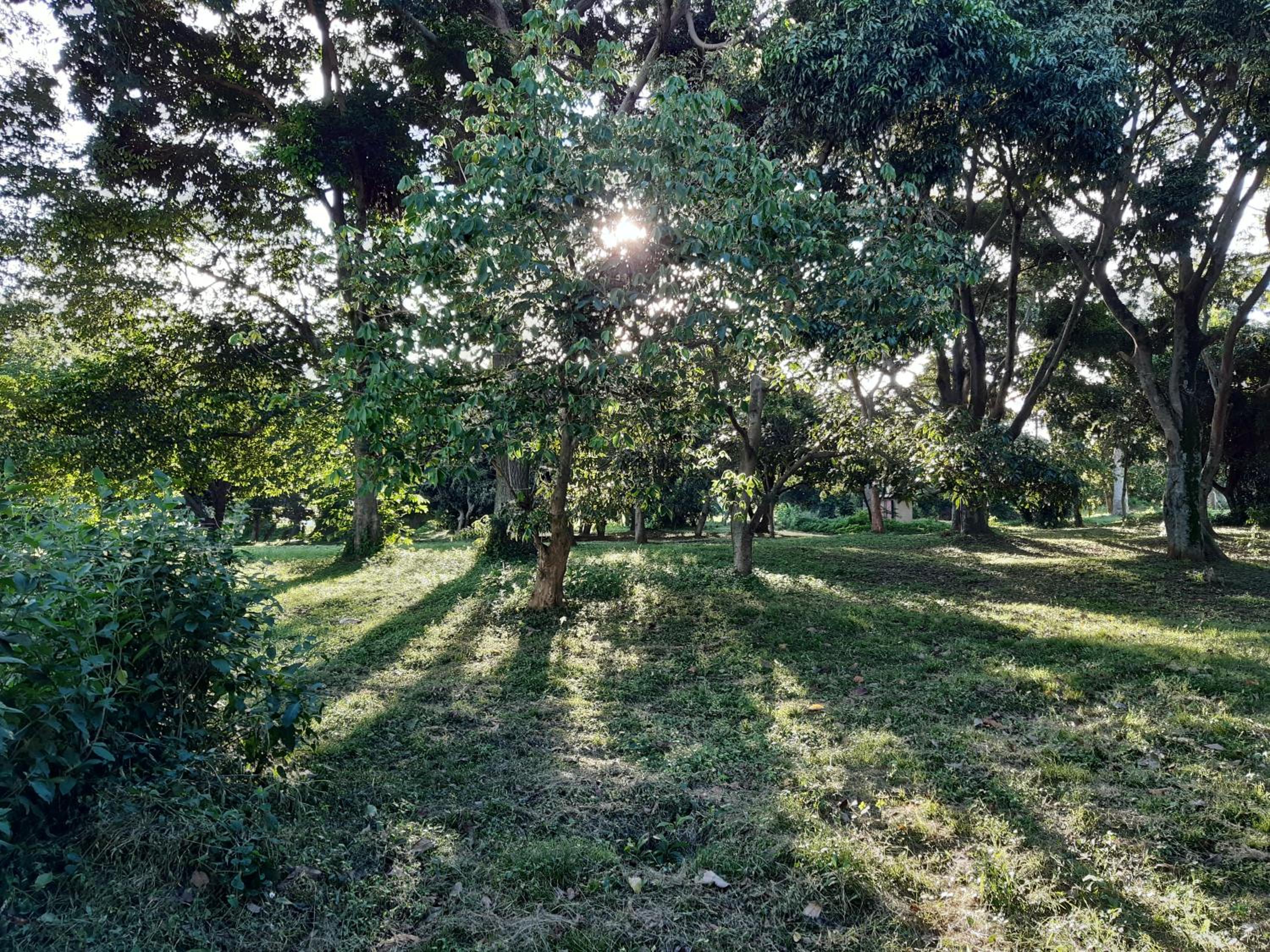 Photo 35