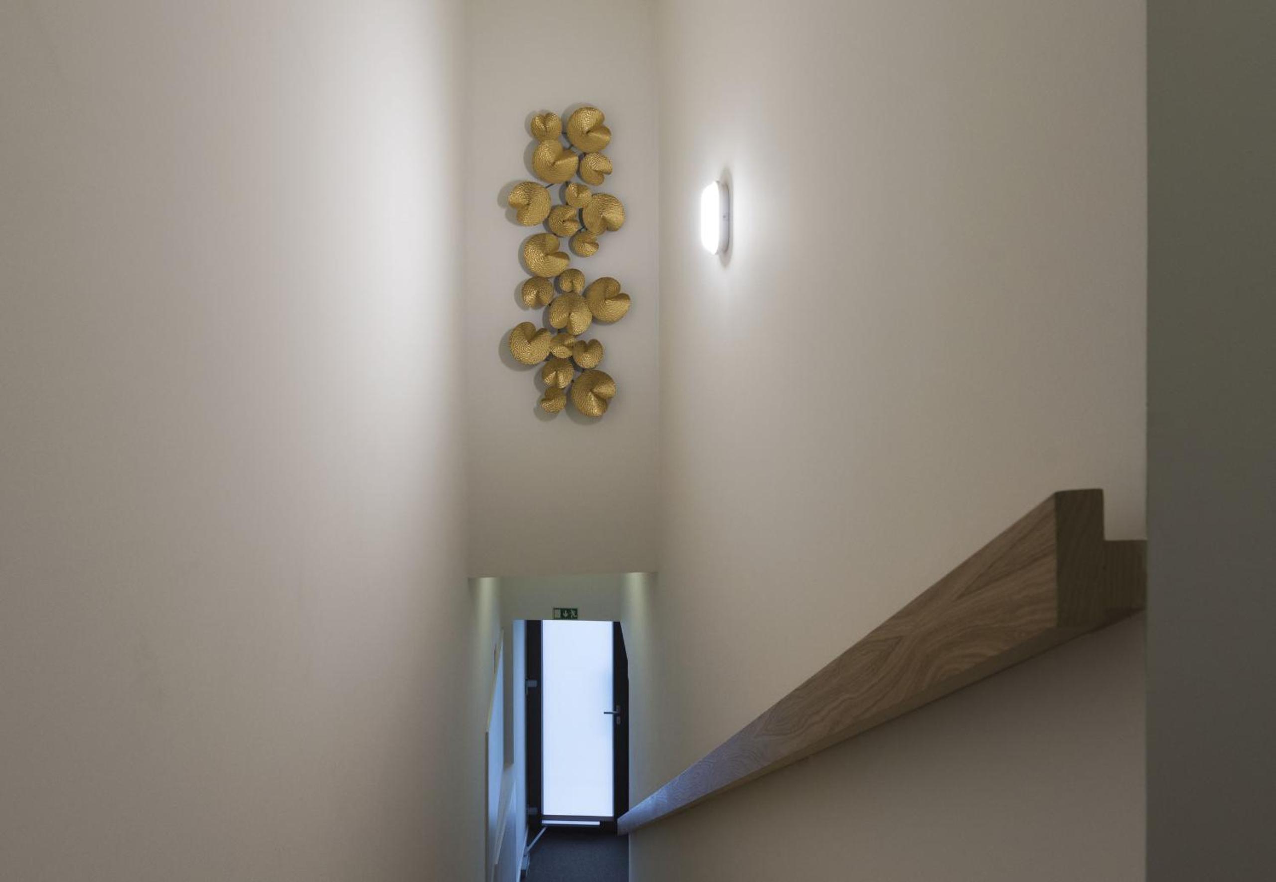 Apartamentos do Prado In Douro view 4