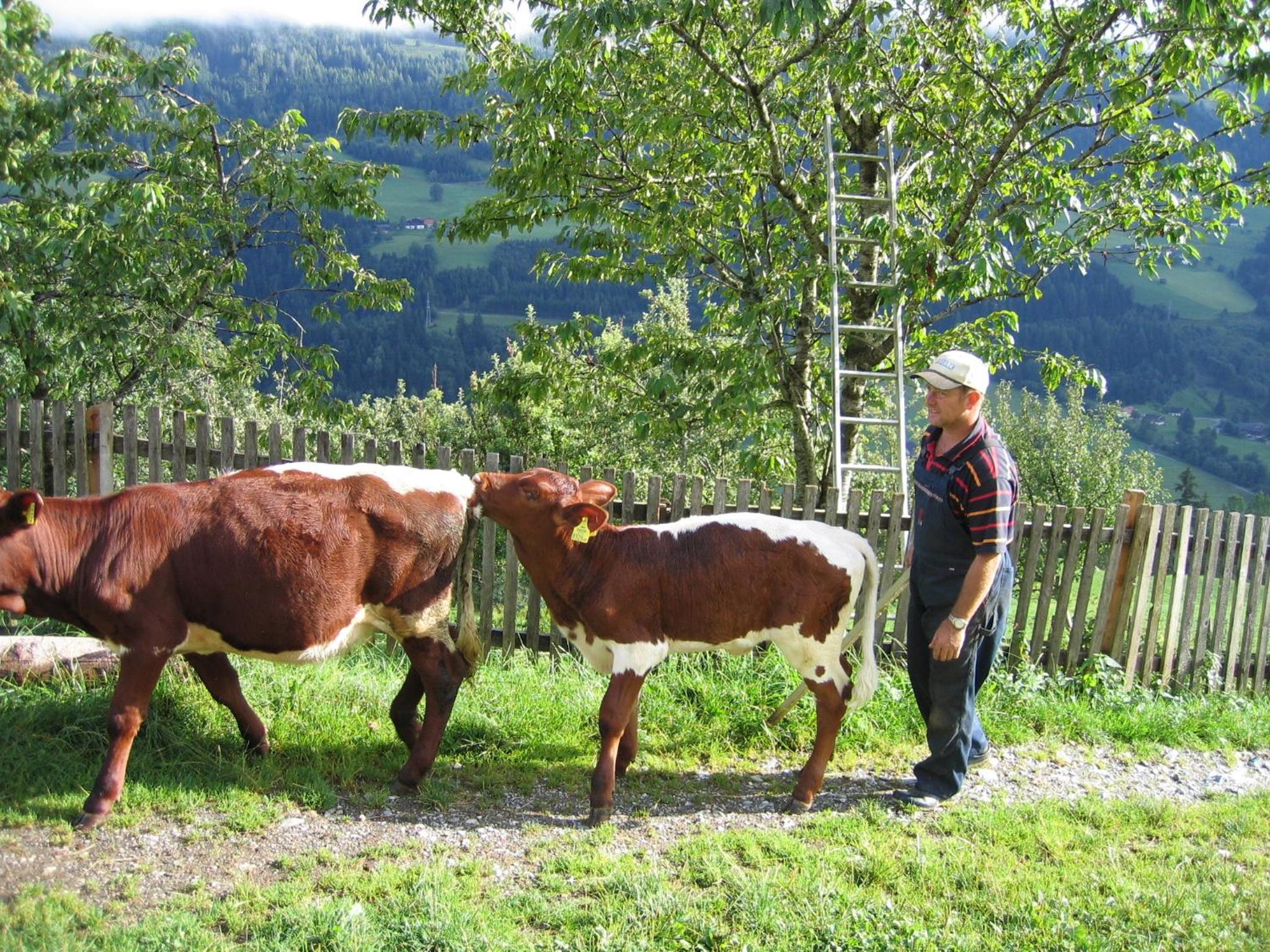 Bergbauernhof Untermoos