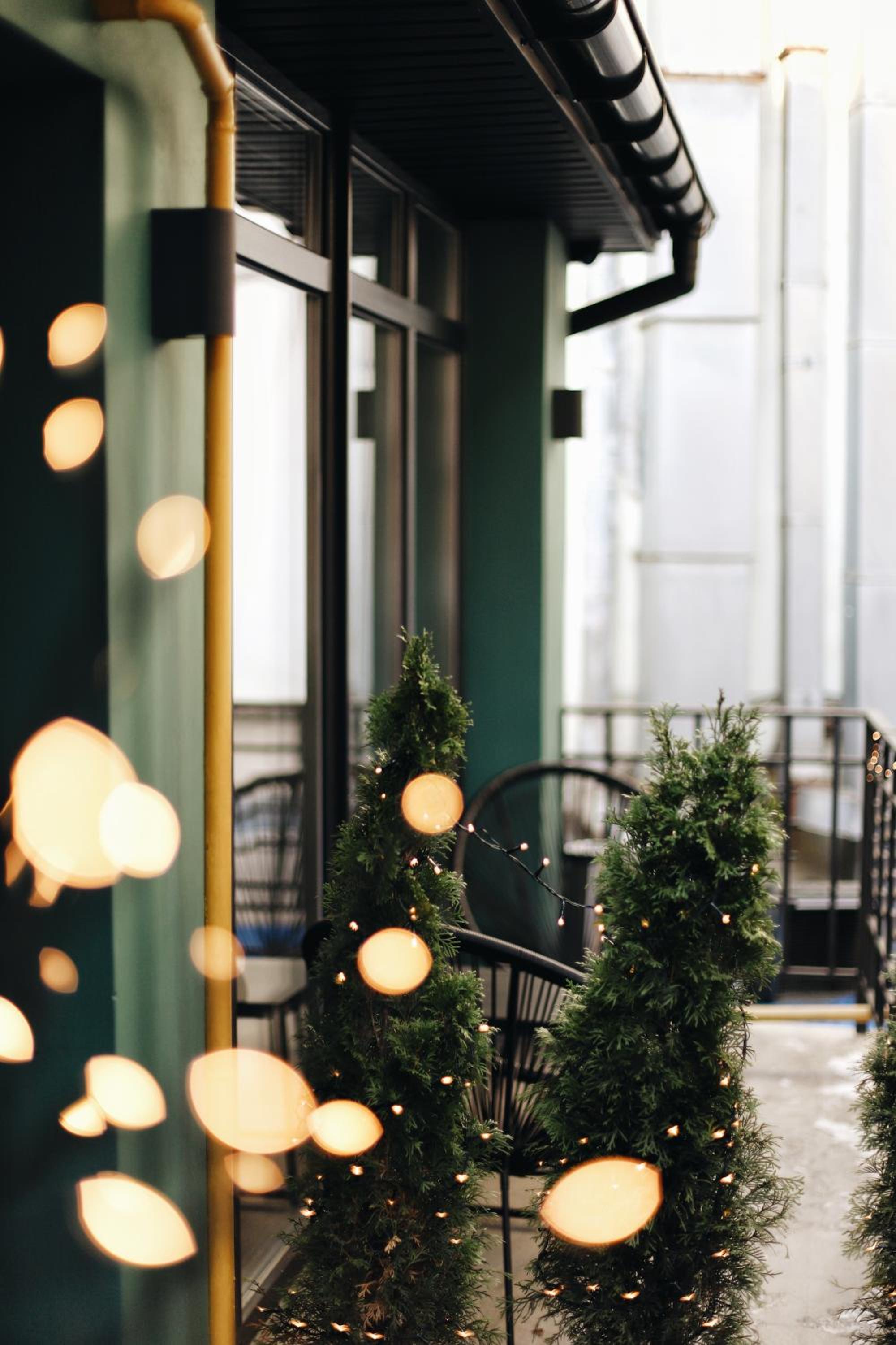 Yard Hostel & Coffee view 4