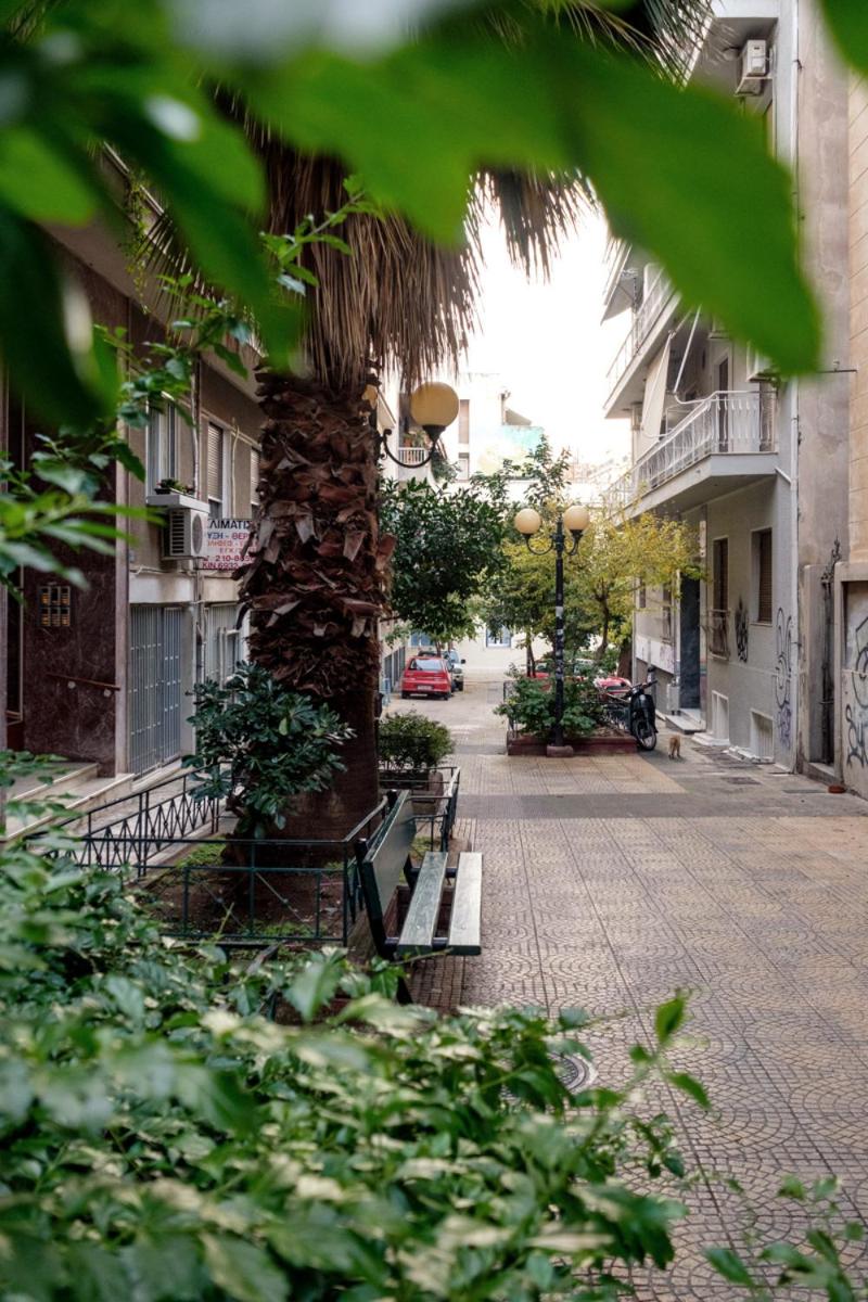 Athens Olive House