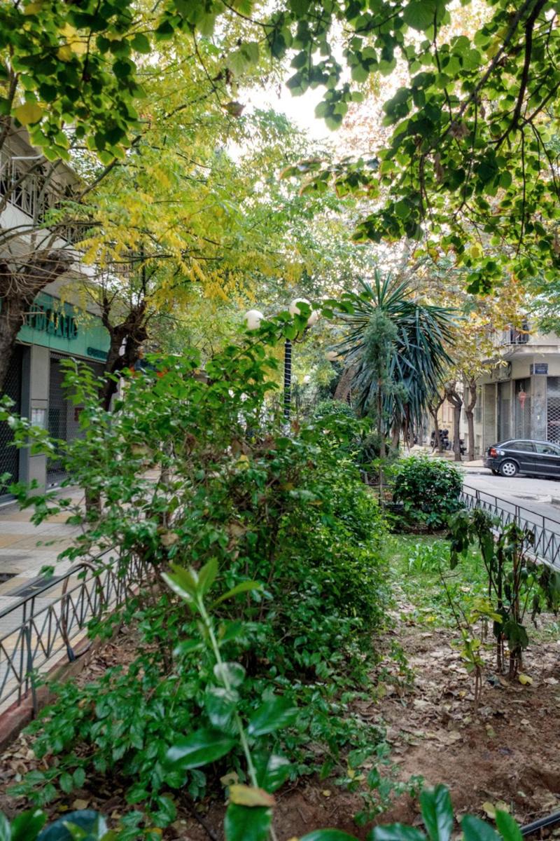 Athens Olive House