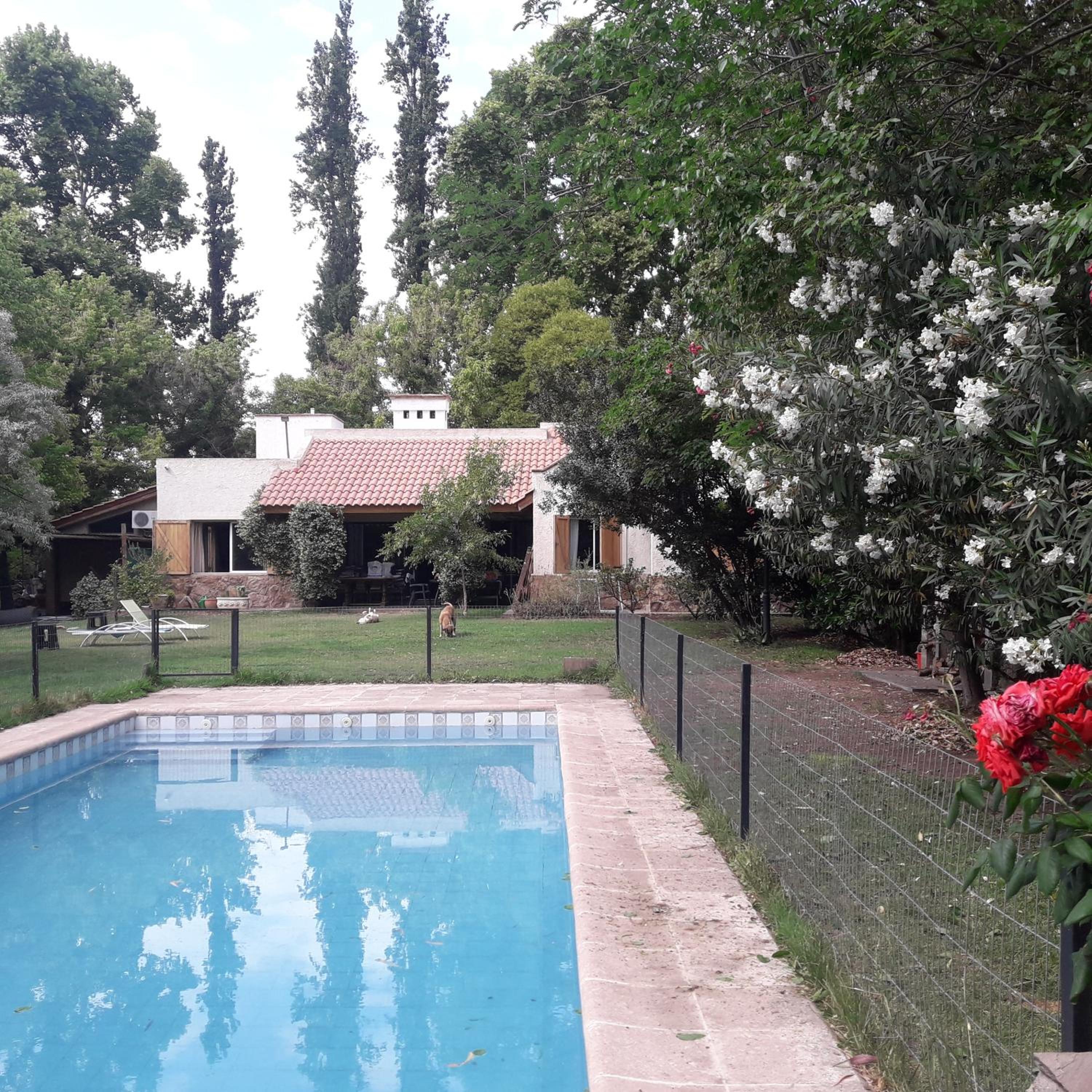 La casita en el parque