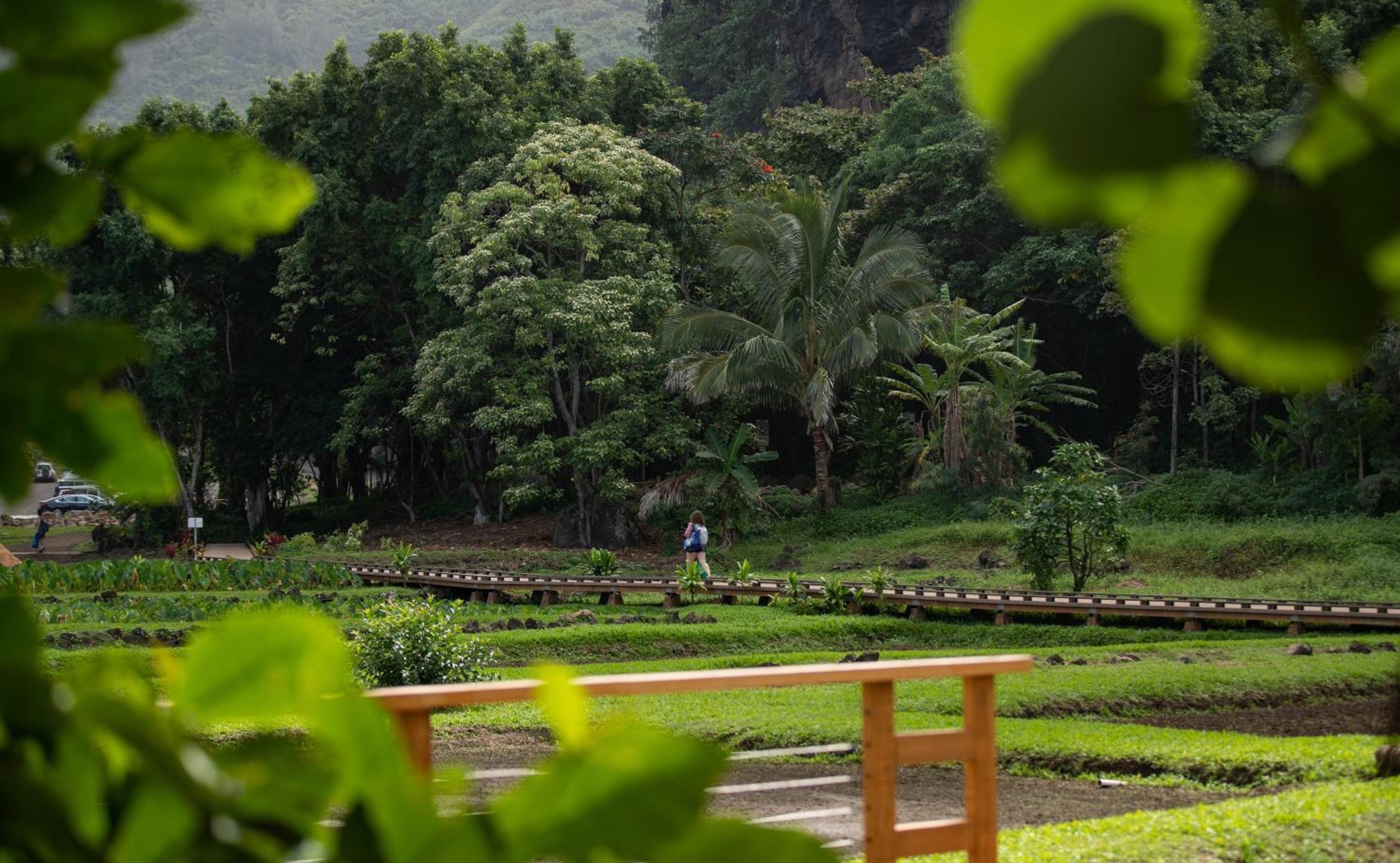 Hanalei Colony Resort 34