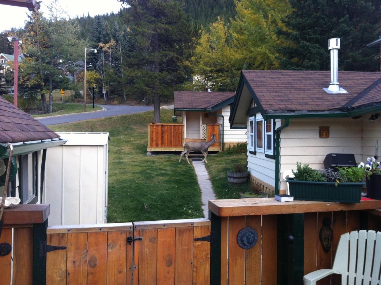 Photo 19