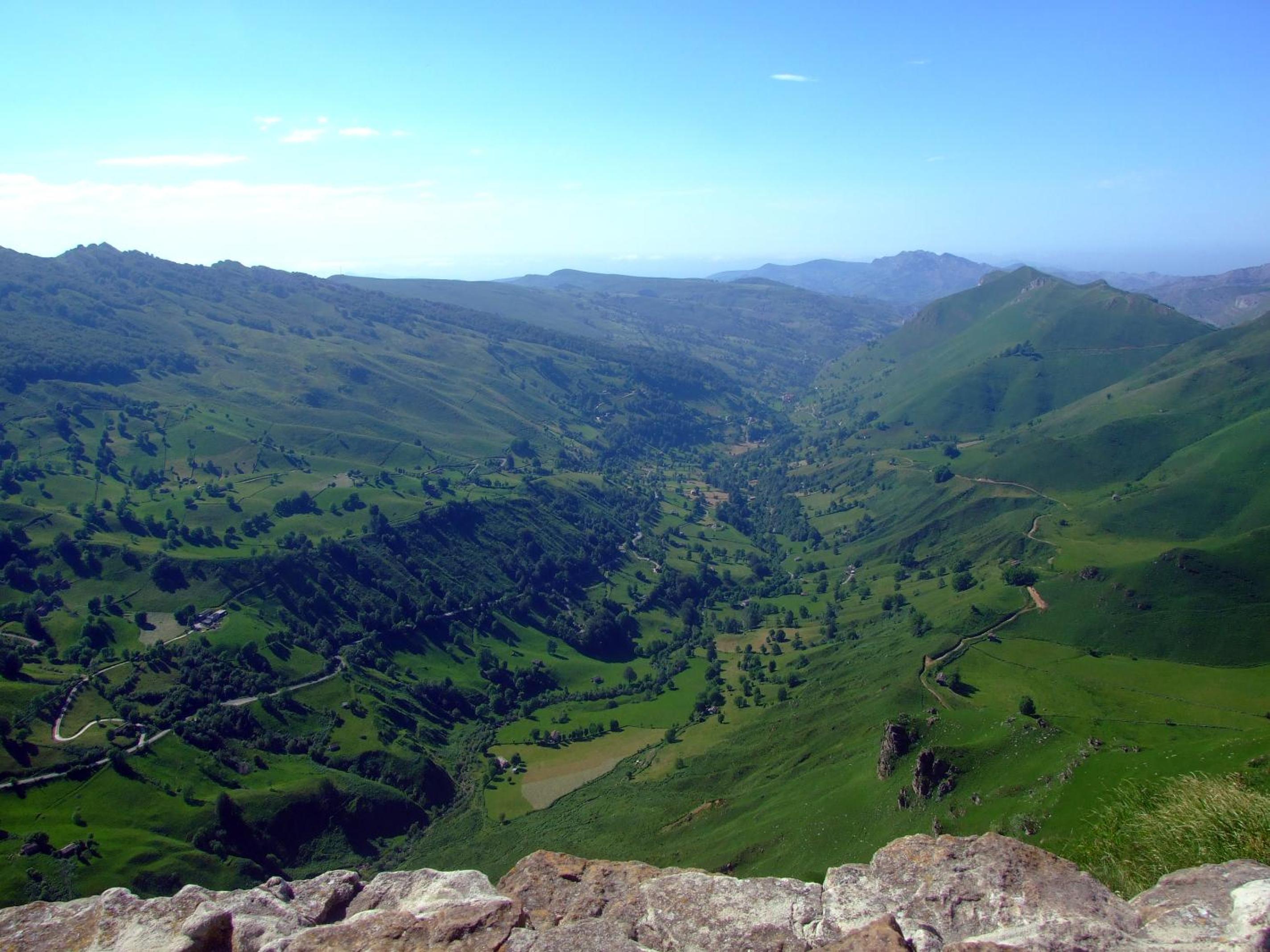 Photo 43