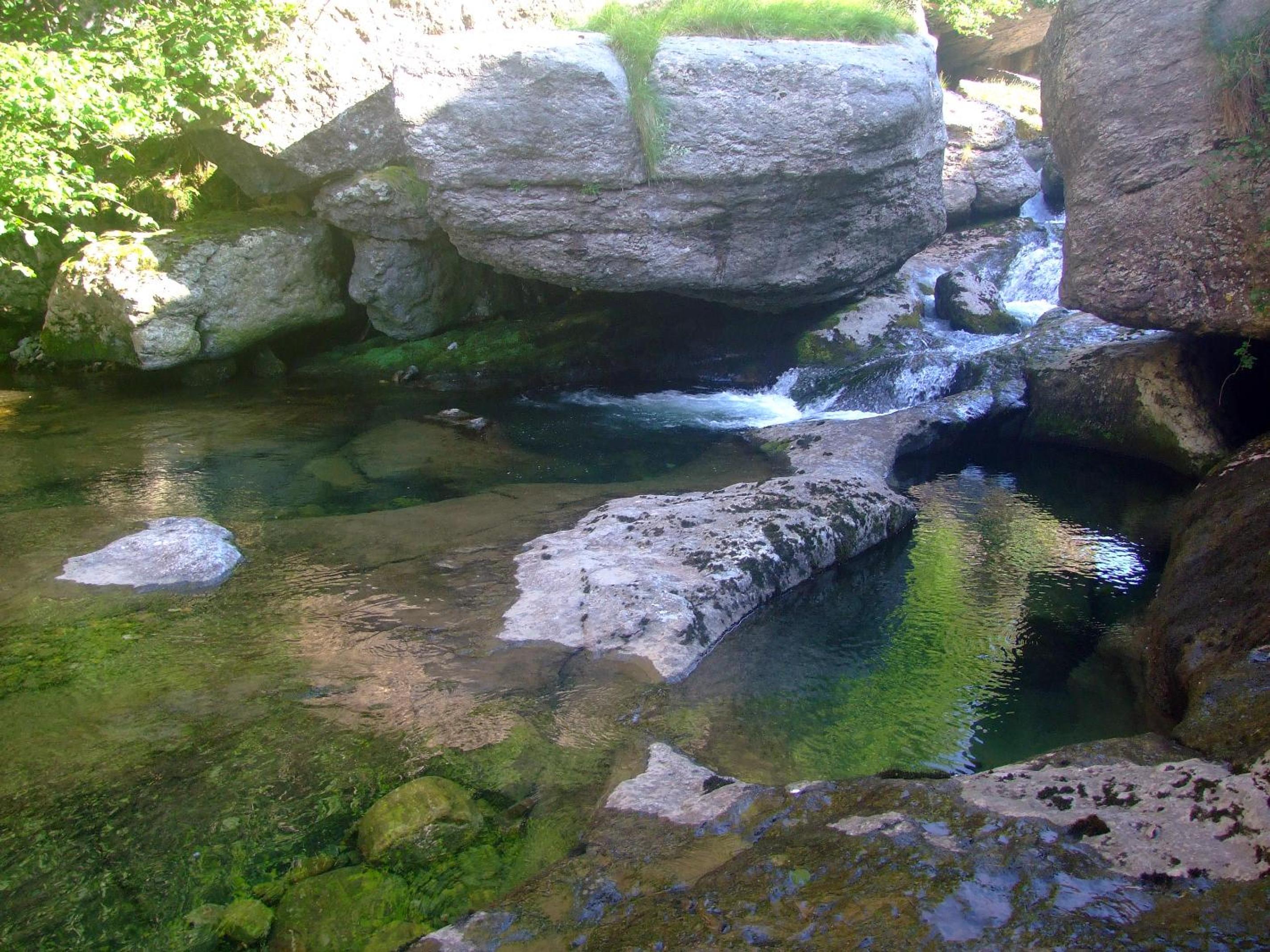 Photo 46