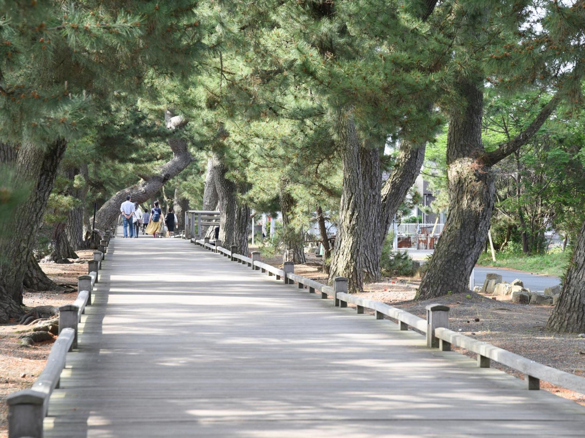 Hotel Hagoromo