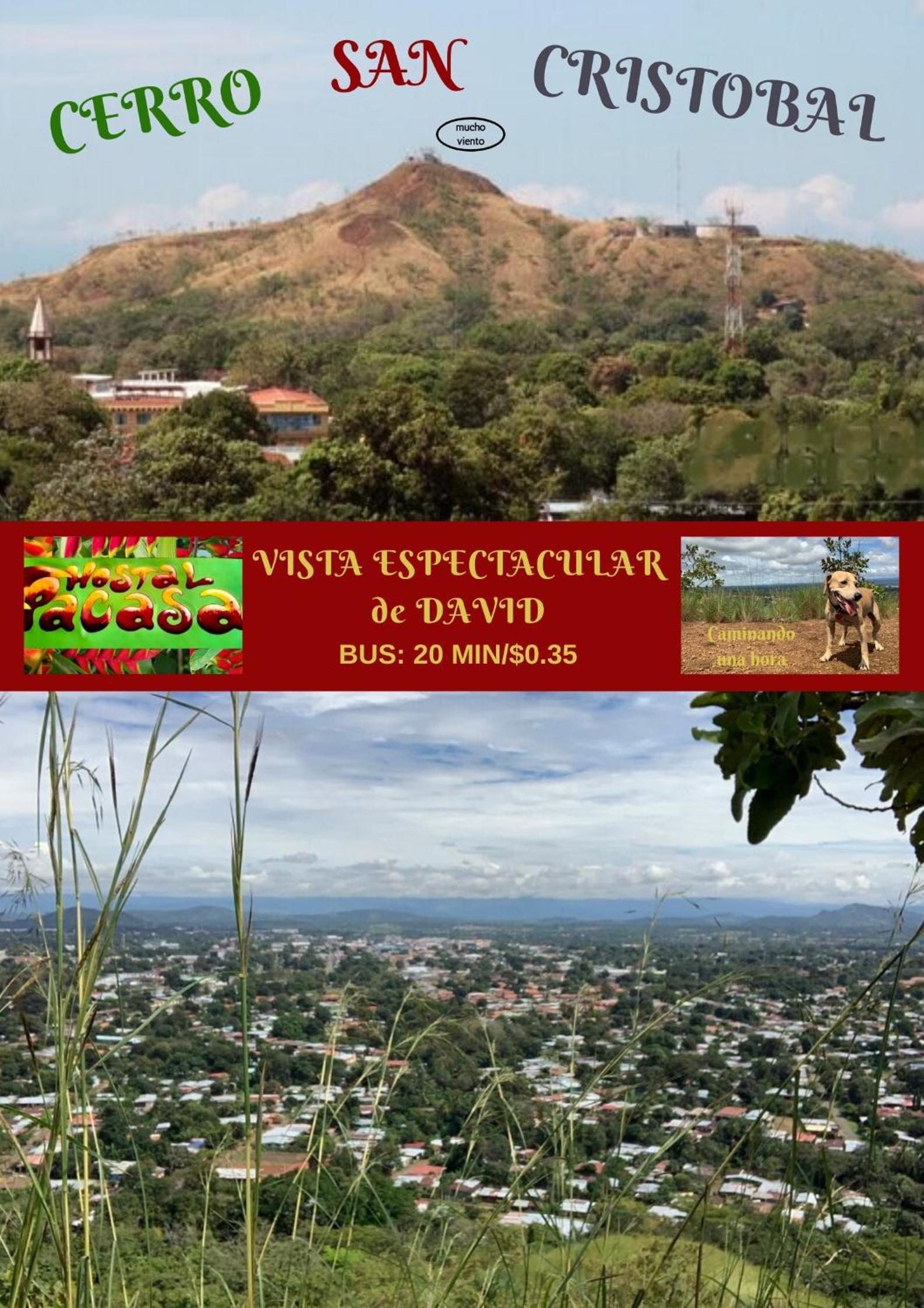 PaCasa Hostel, photo 52