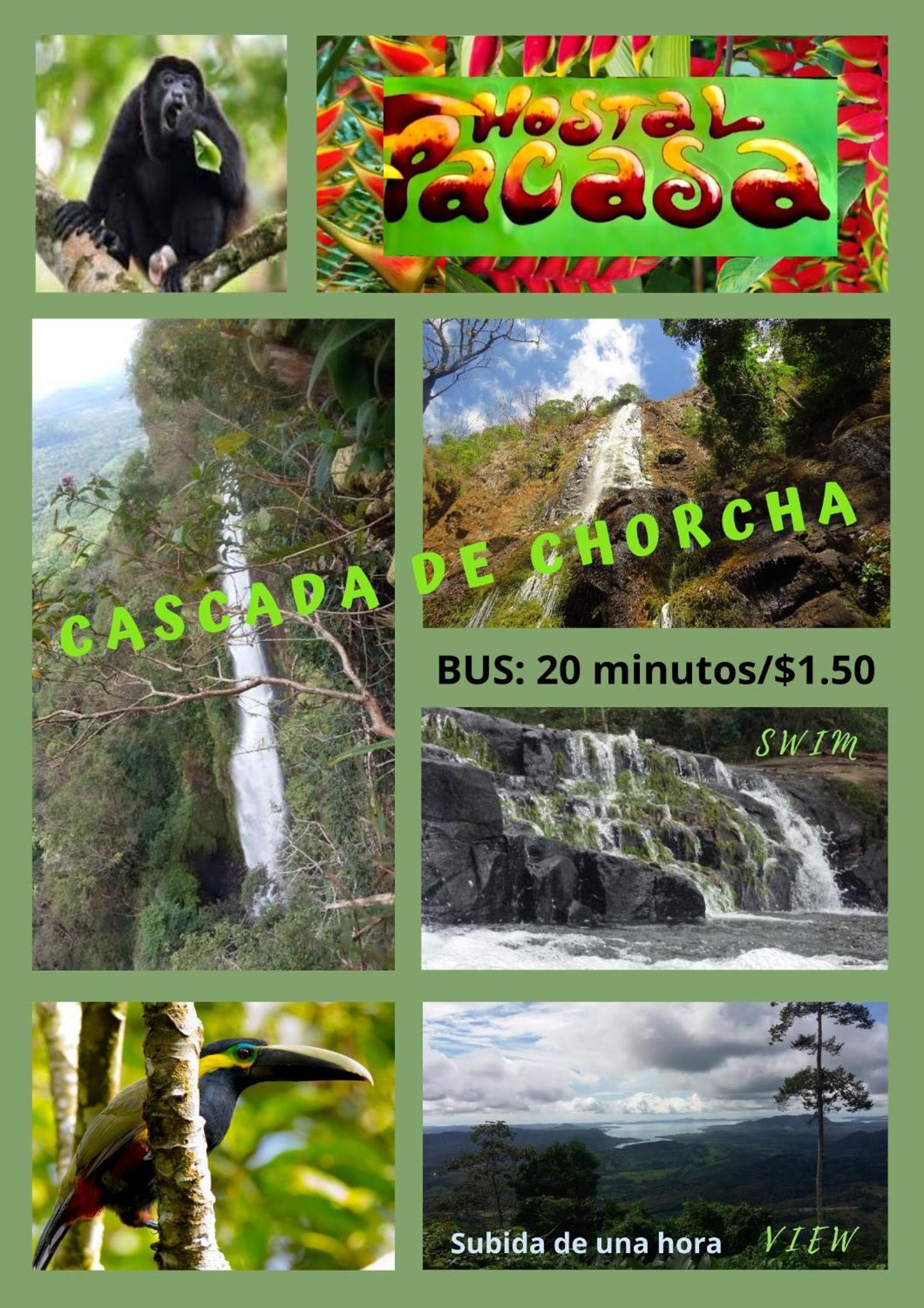 PaCasa Hostel, photo 33