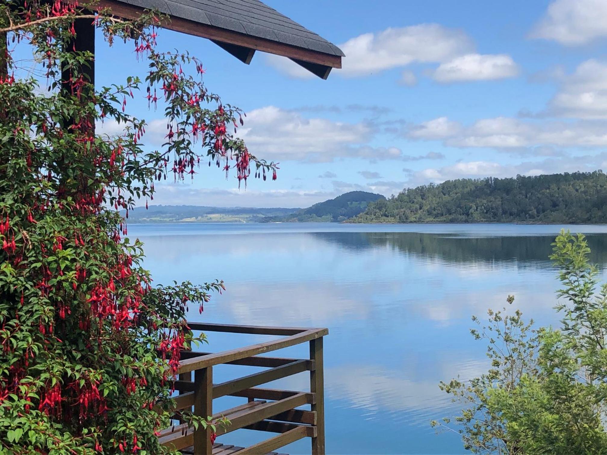 Cabañas Borgolafquen