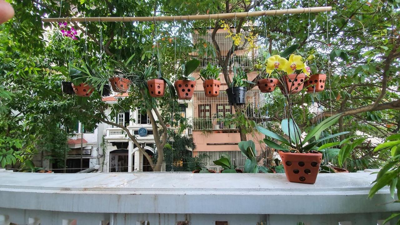 De Studio HomeStay