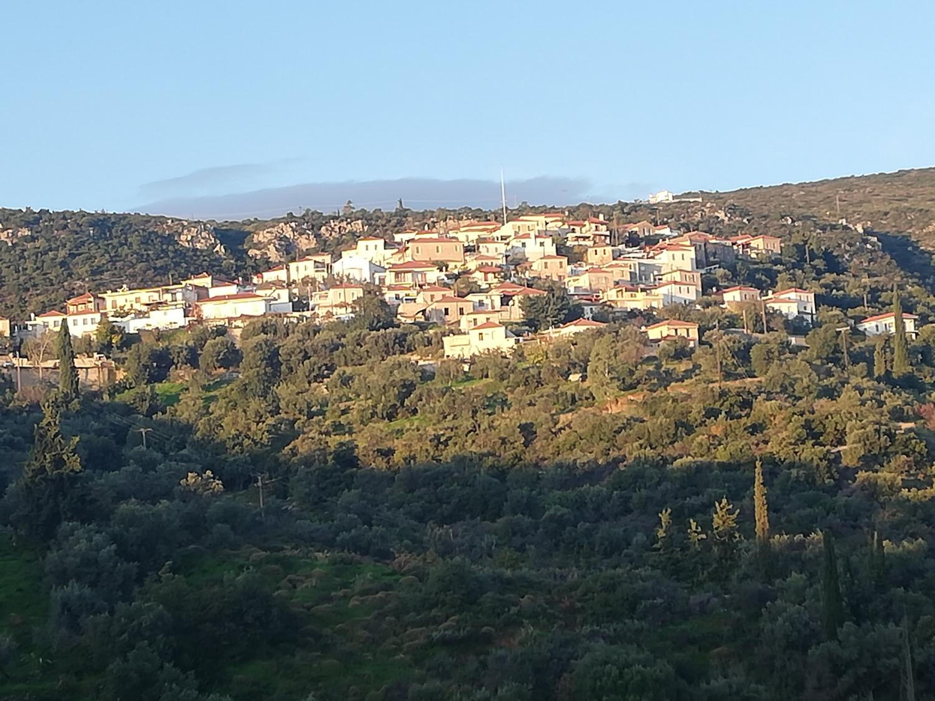 Photo 43