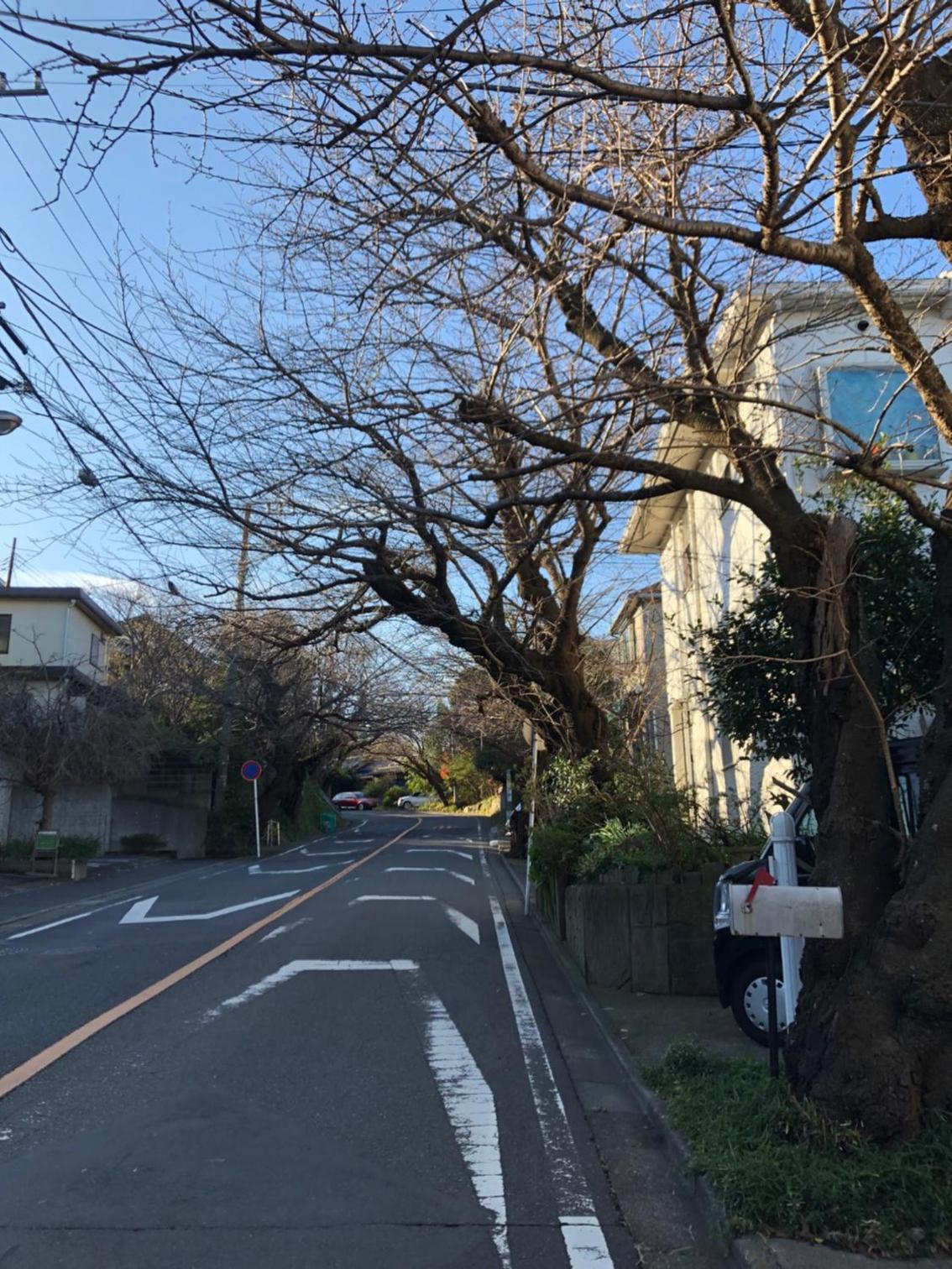 Kamakurayama Holiday Flat