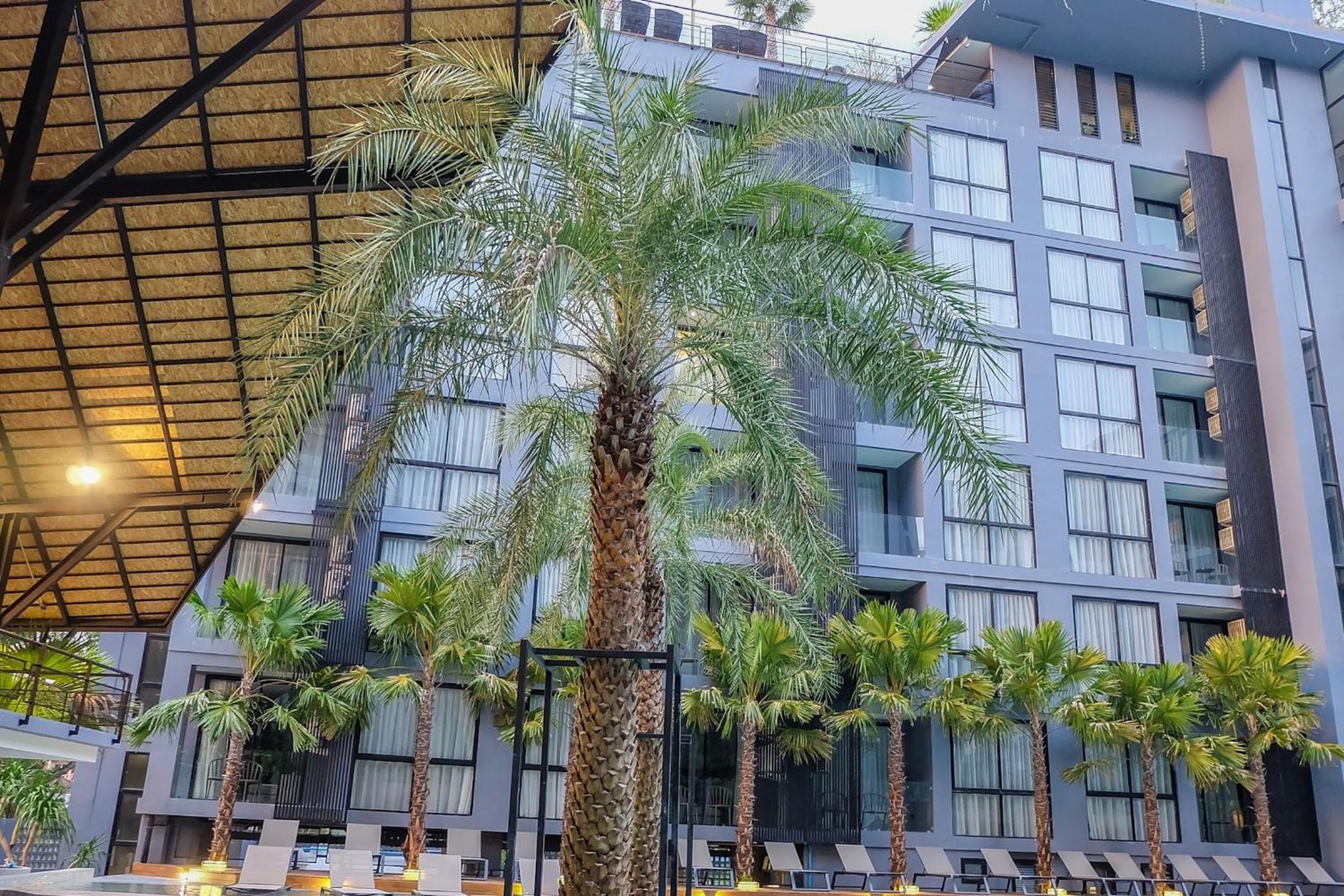 Citygate Kamala Resort and Residence - Official Account
