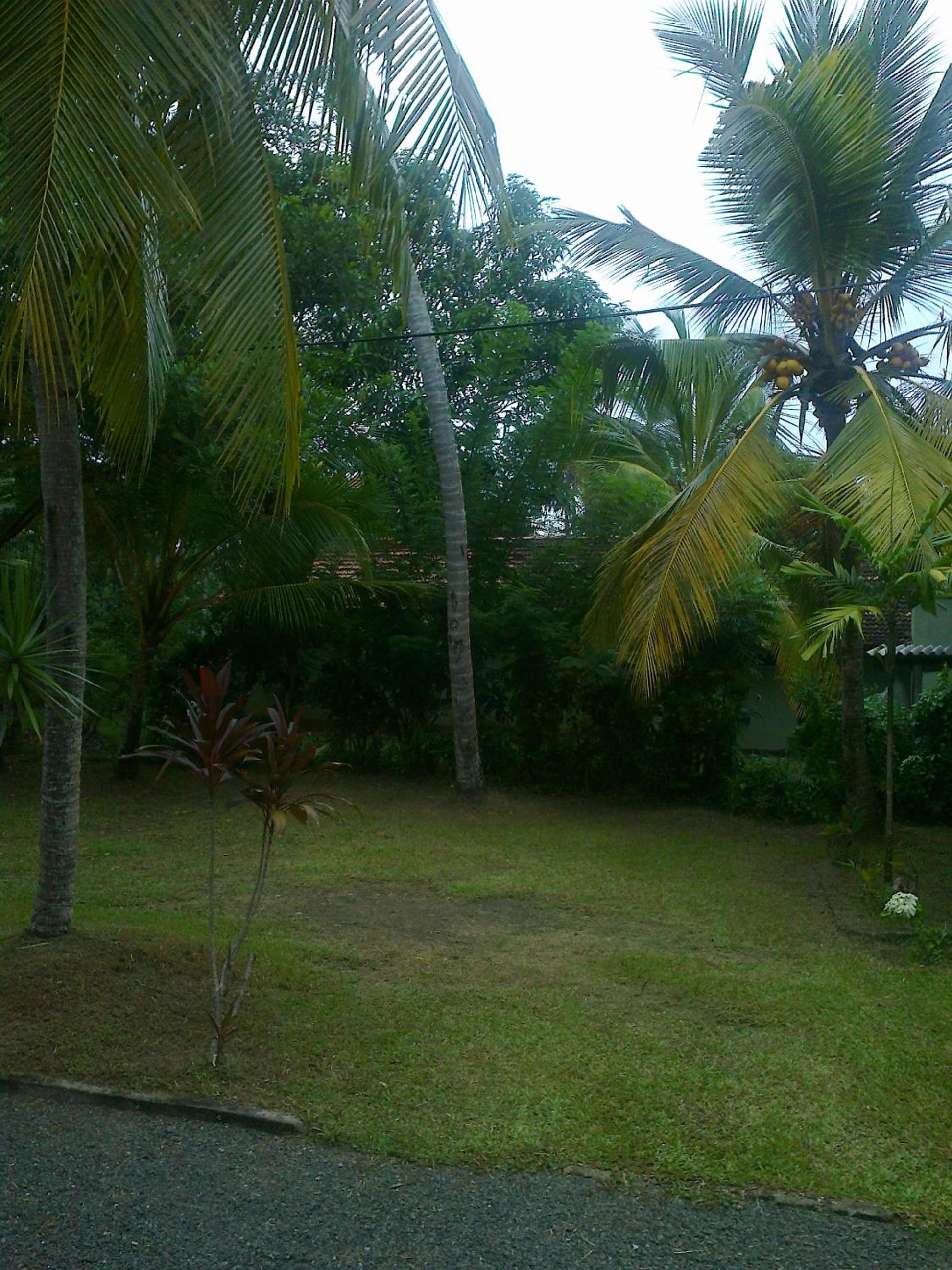 Photo 29