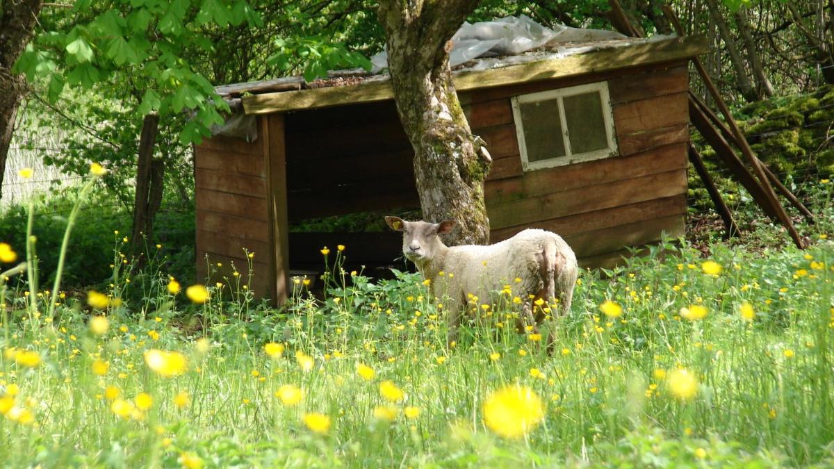 Maison Les greniers en Myon