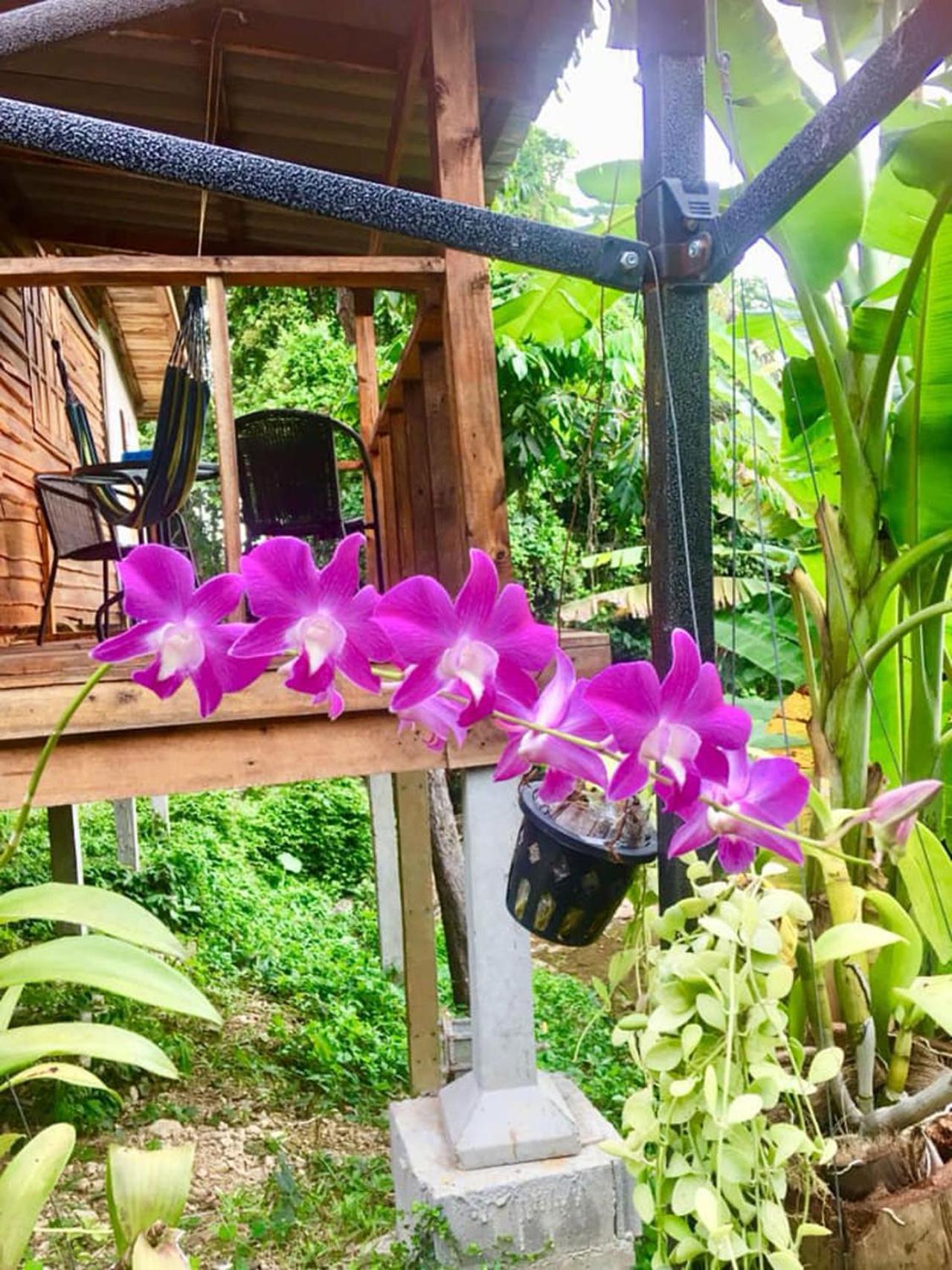 Lanta A Toi House view 5