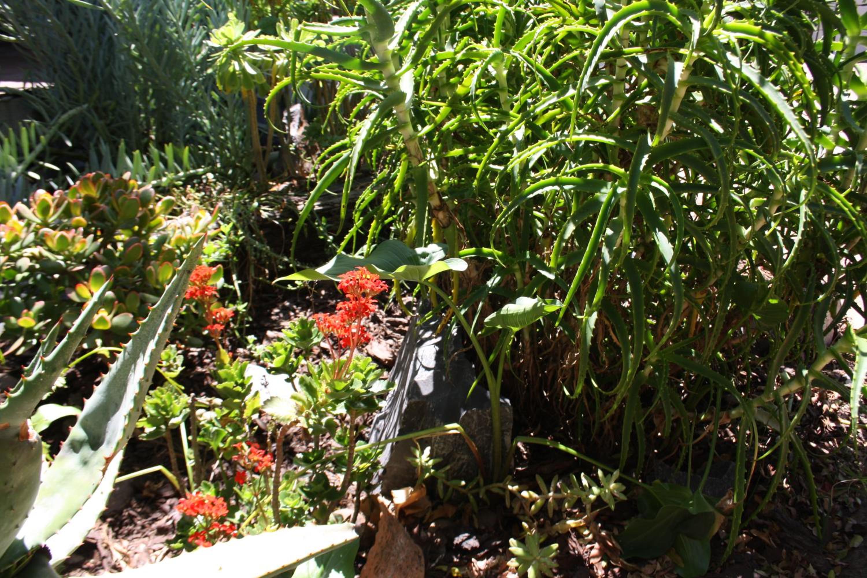 Photo 16
