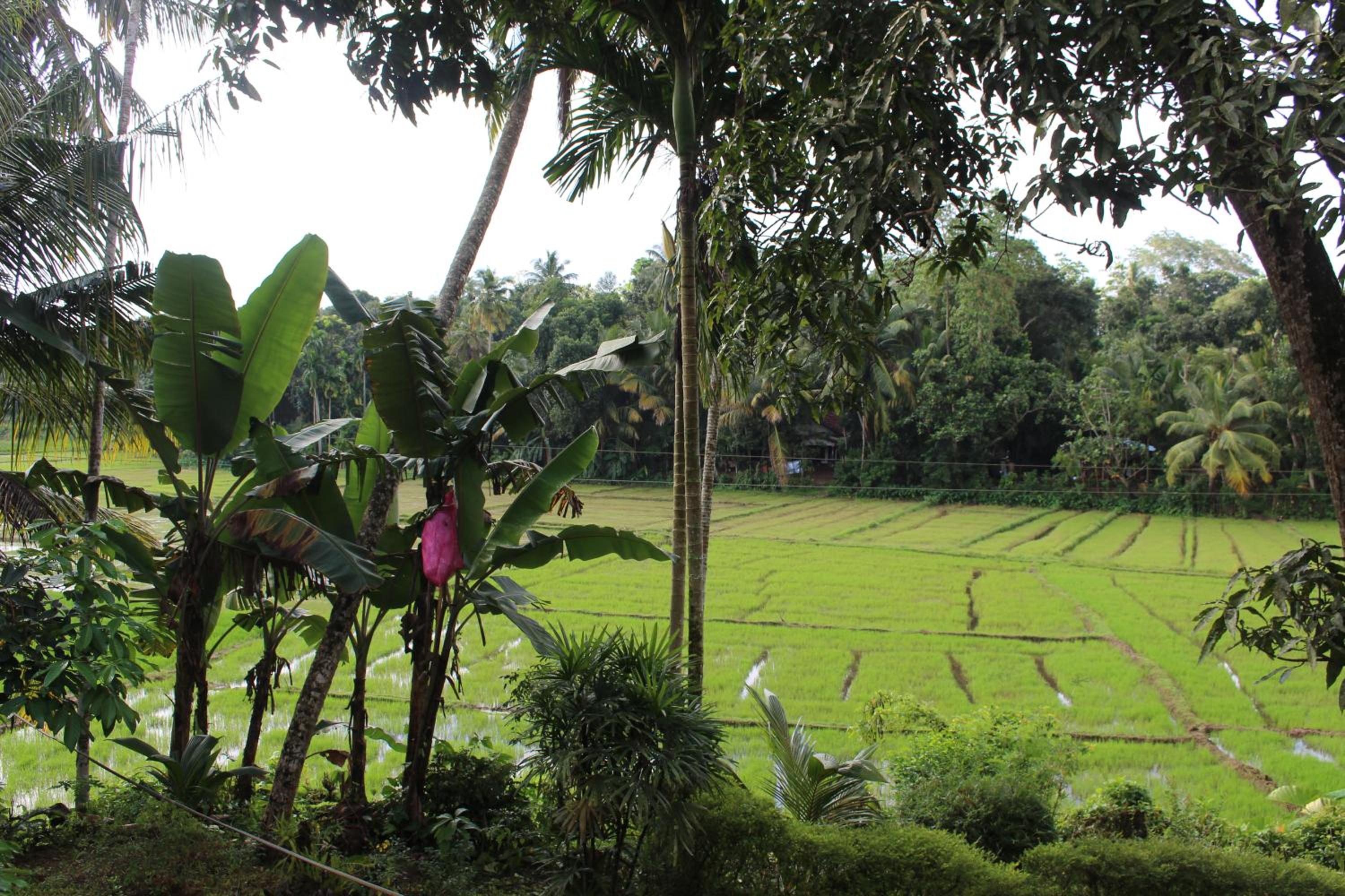 Photo 40
