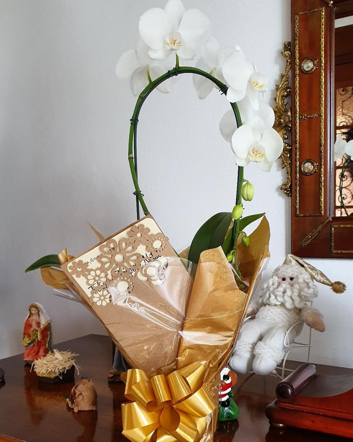 A Casa Bella - Guesthouse