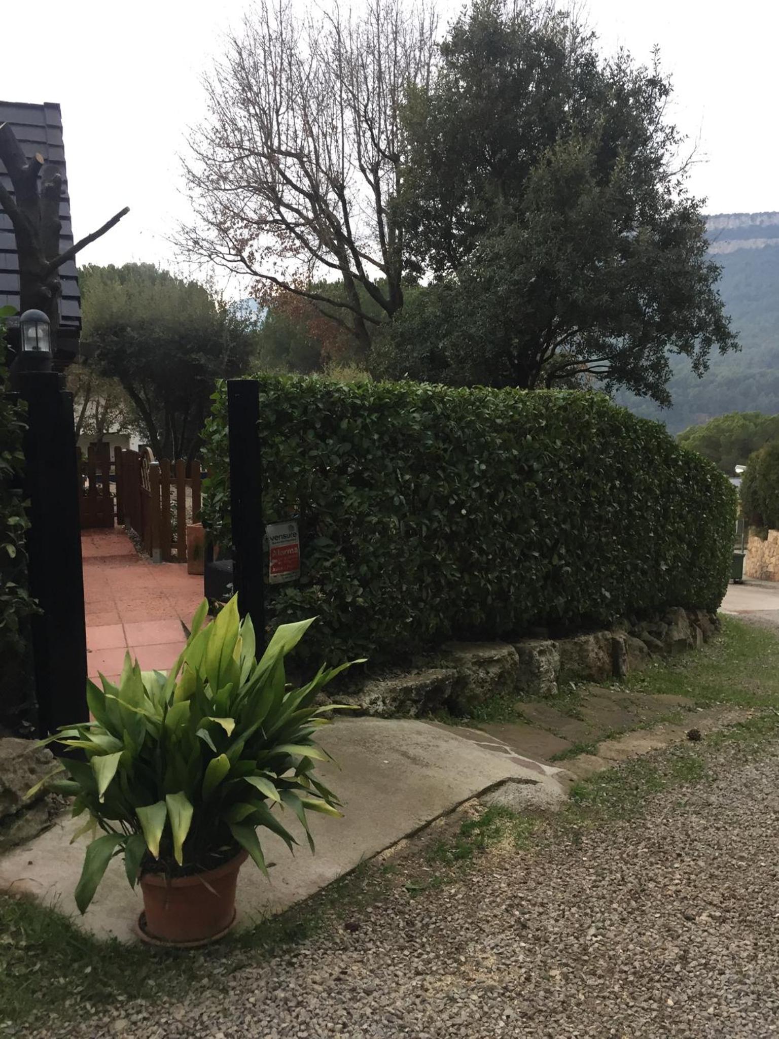 Photo 26