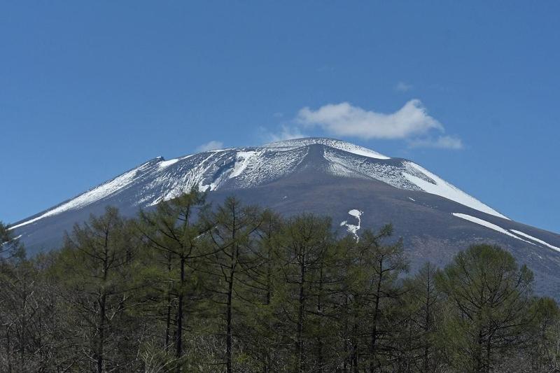 La Forest De Nome Karuizawa
