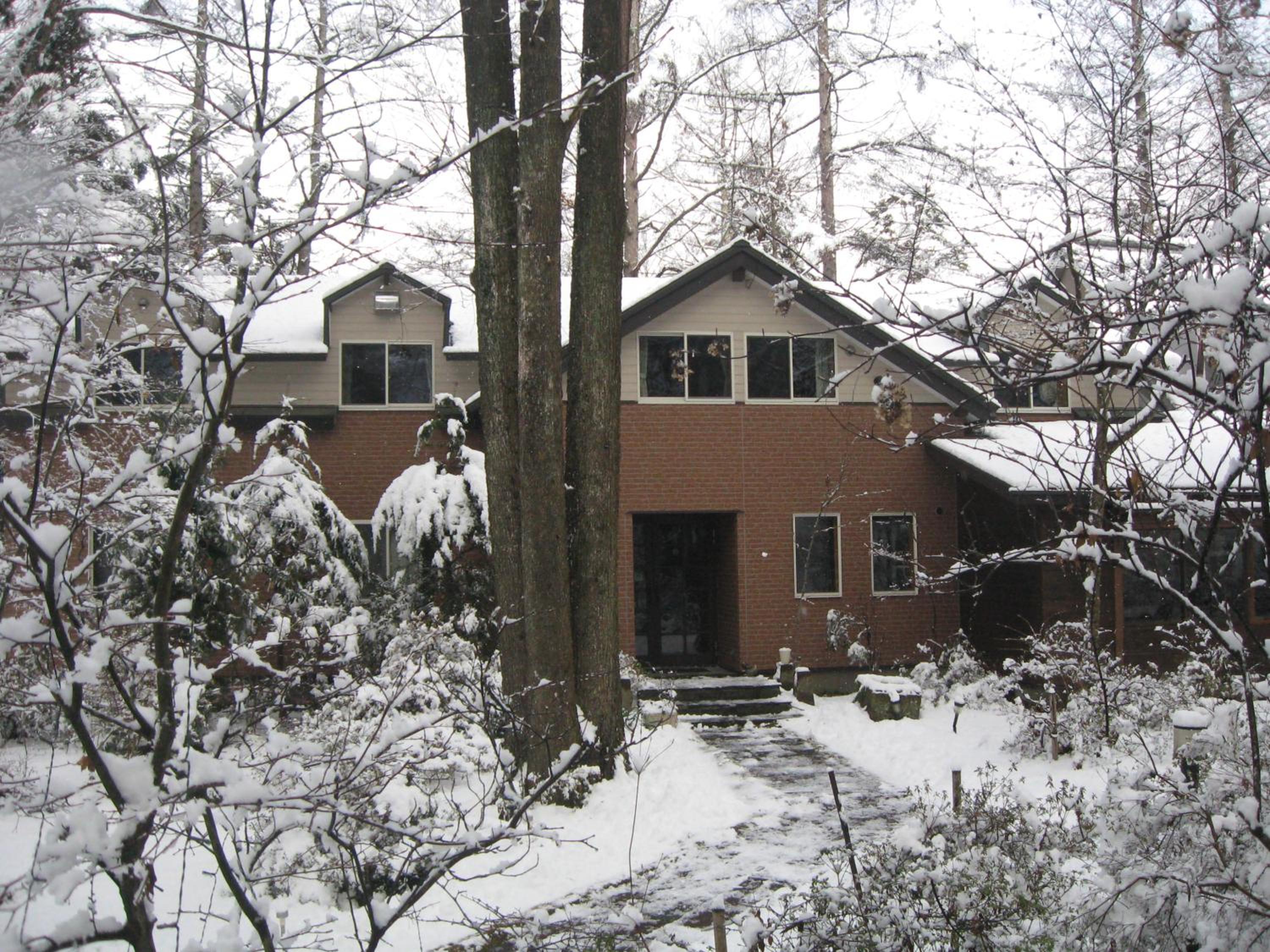 La Forest De Nome Karuizawa