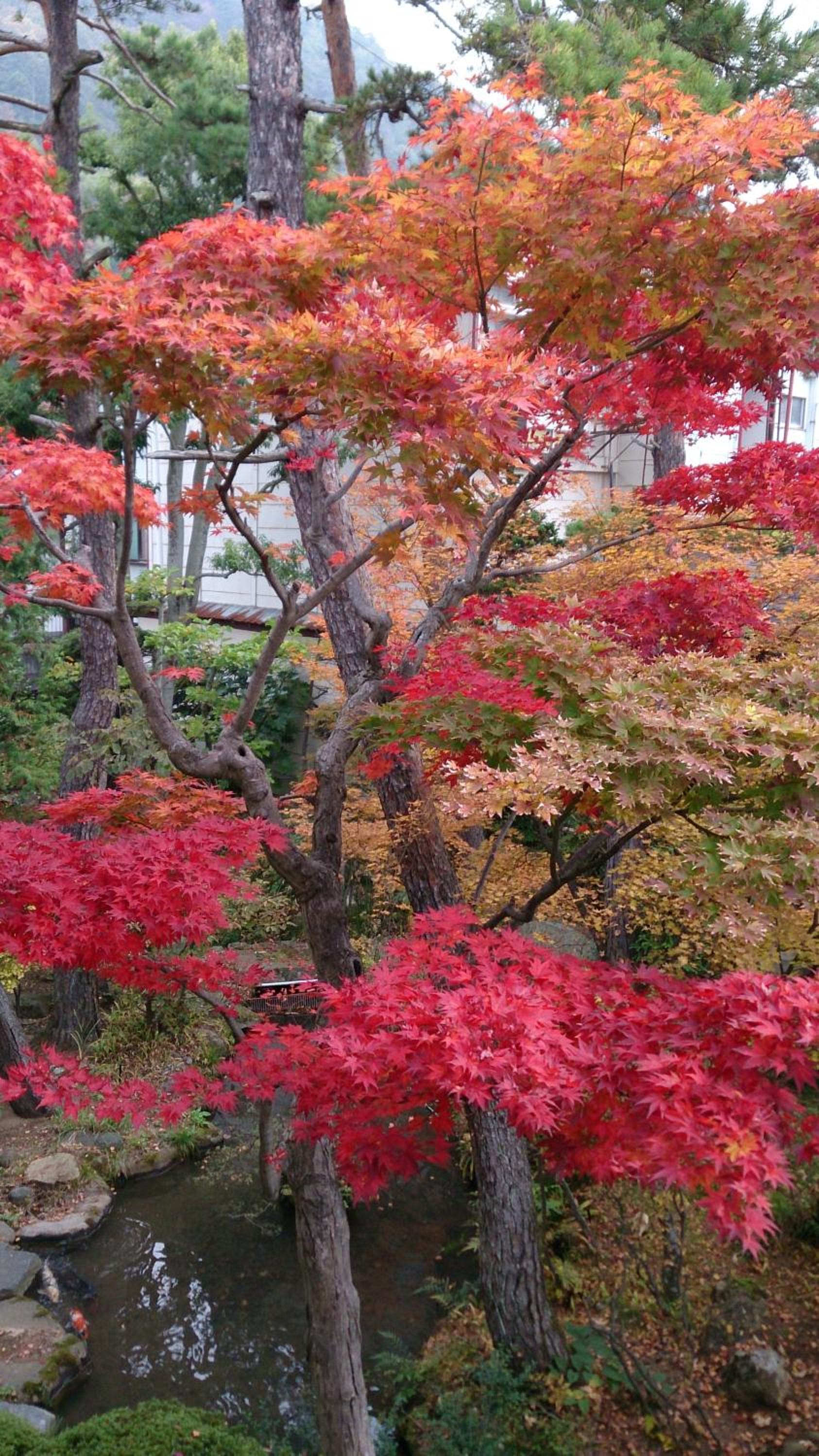 Yudanaka Yumoto