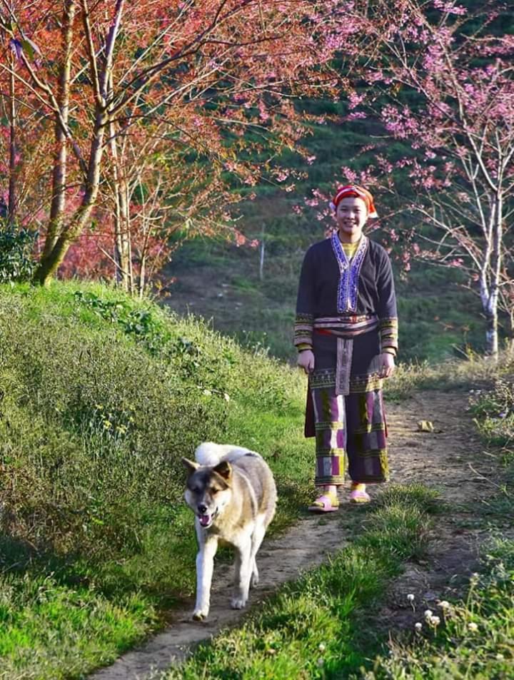 Sapa Dao Homestay view 3