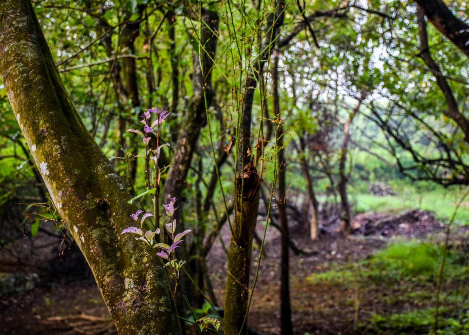 Photo 26