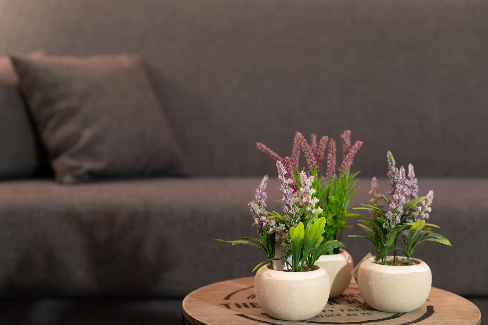 Ariadne Cozy Beautiful Studio