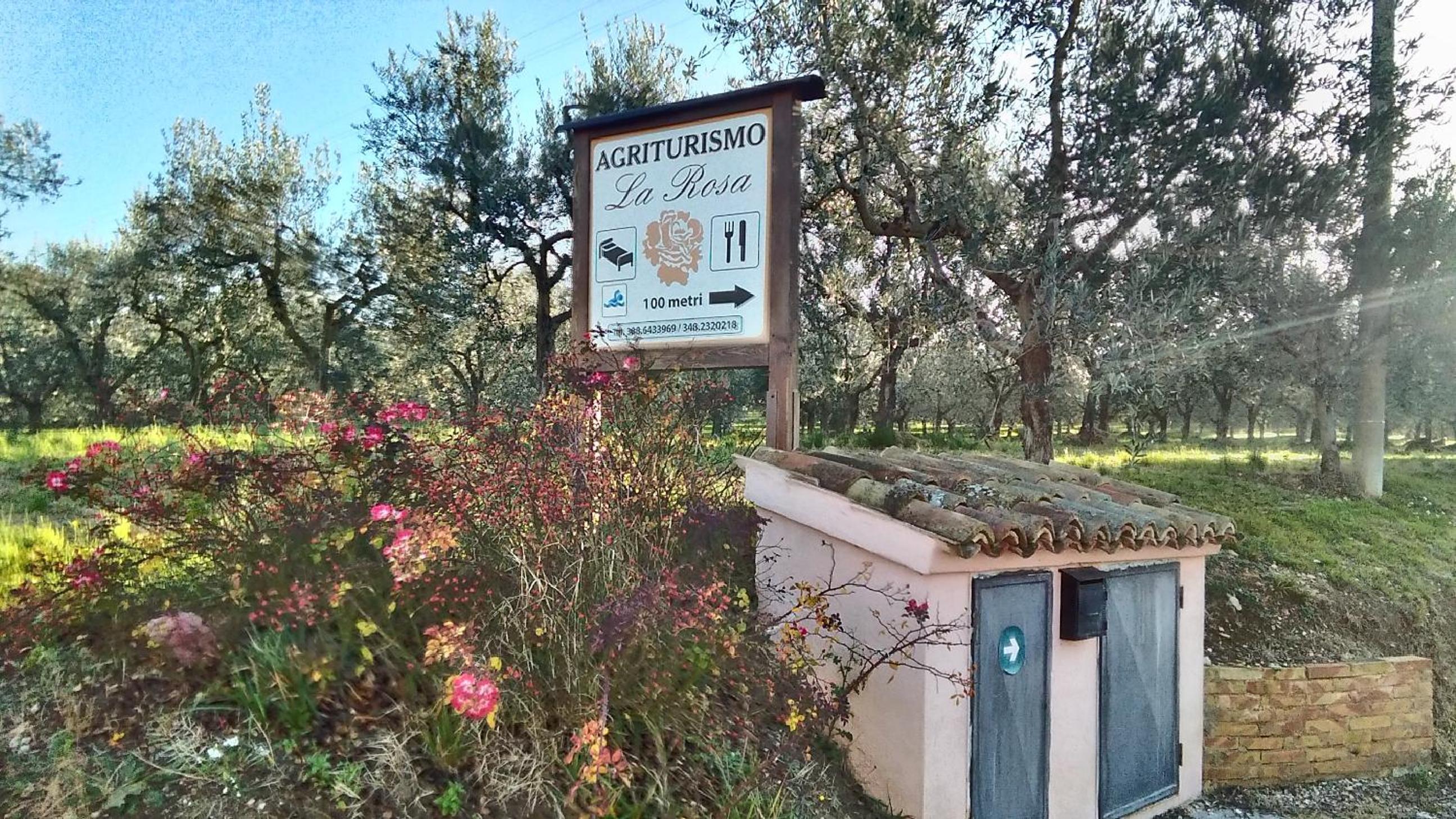 Agriturismo La Rosa Montefalco view 3