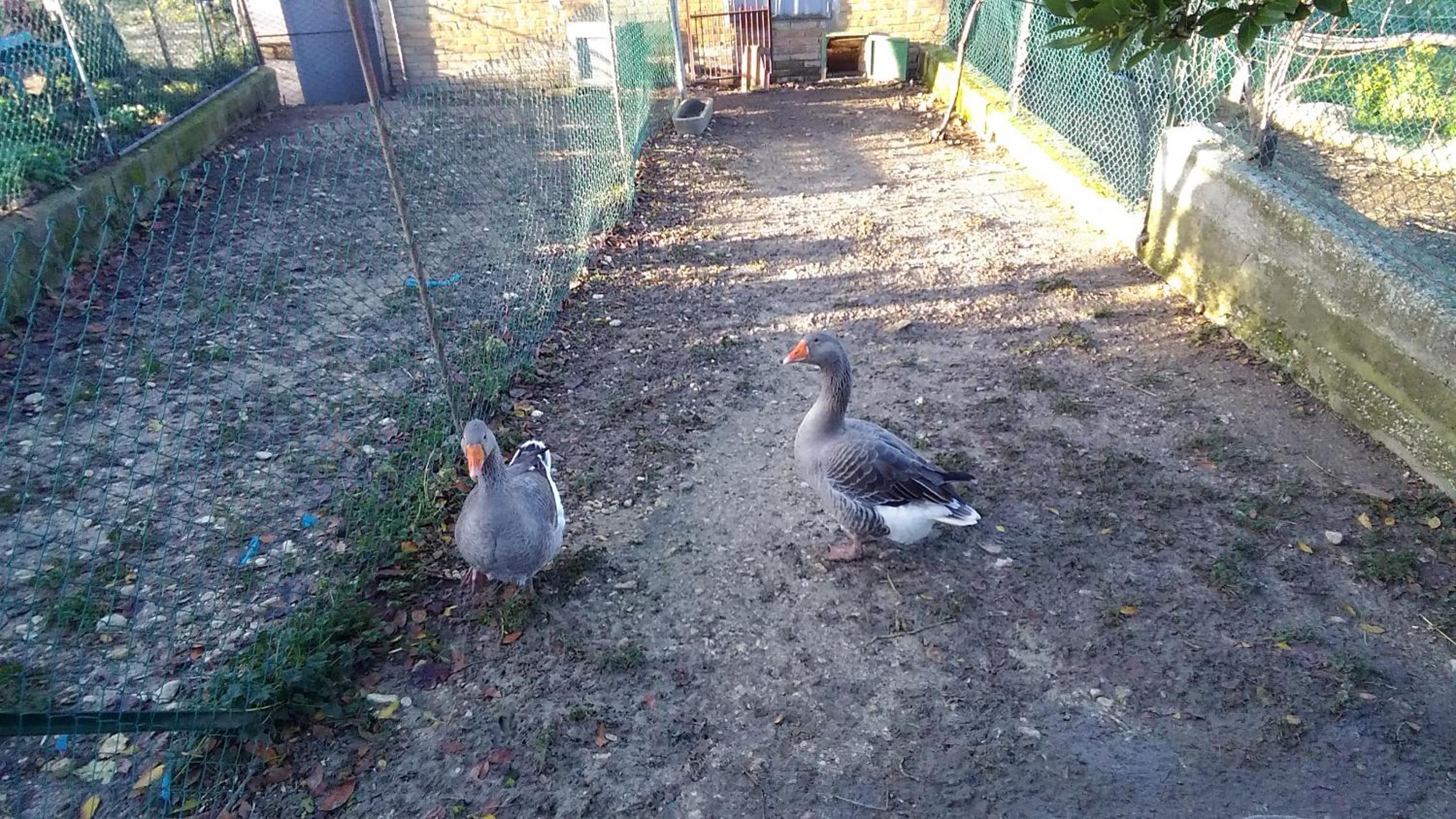 Photo 32