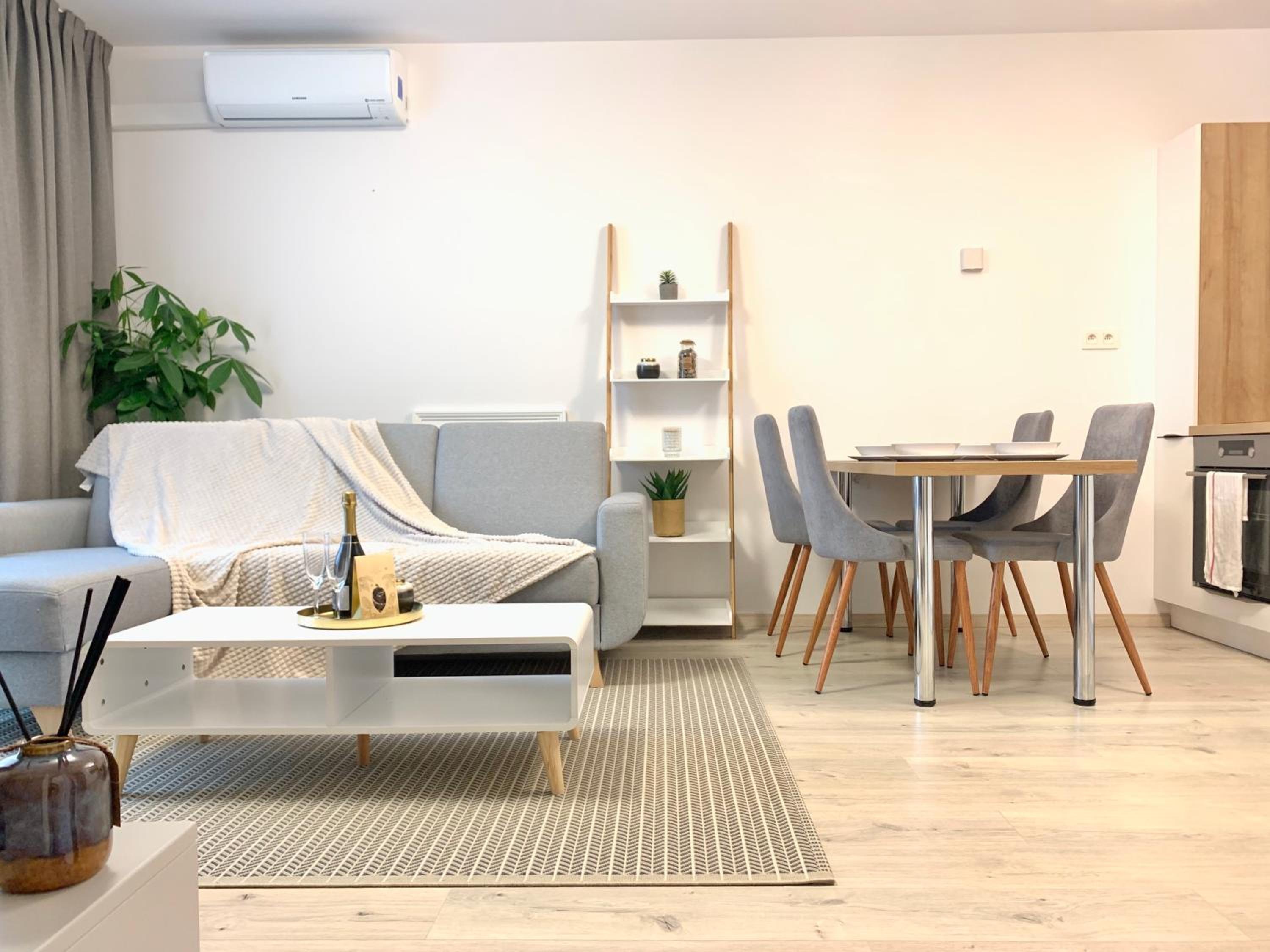 Elegant, bright spacious apartment in Bratislava center view 2