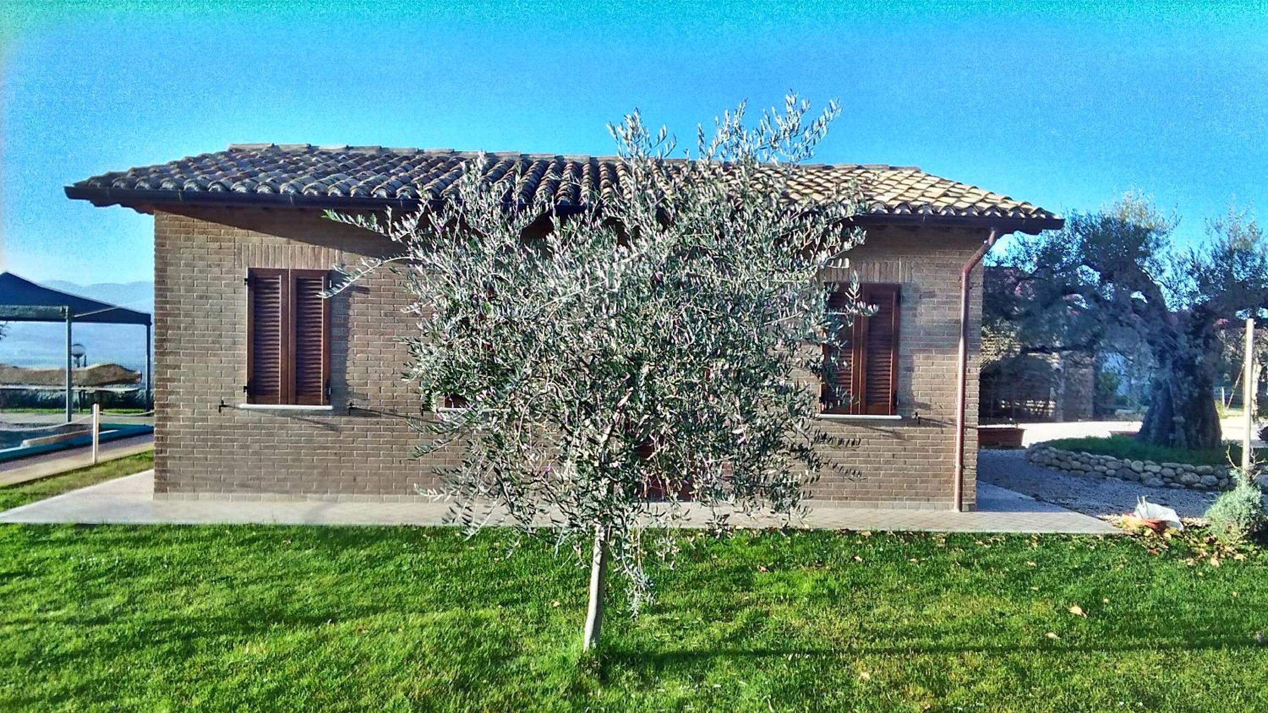 Photo 11