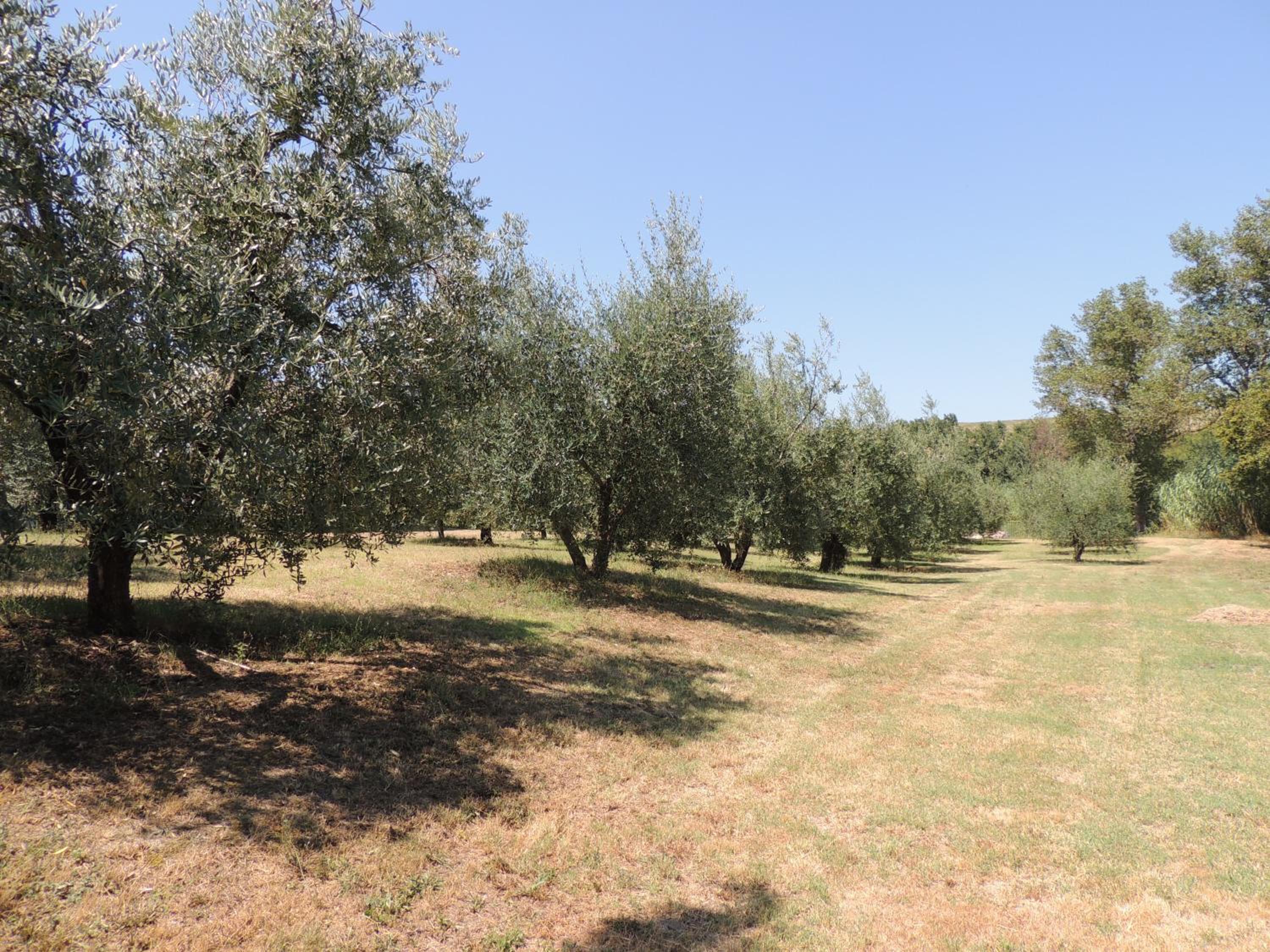 Photo 28