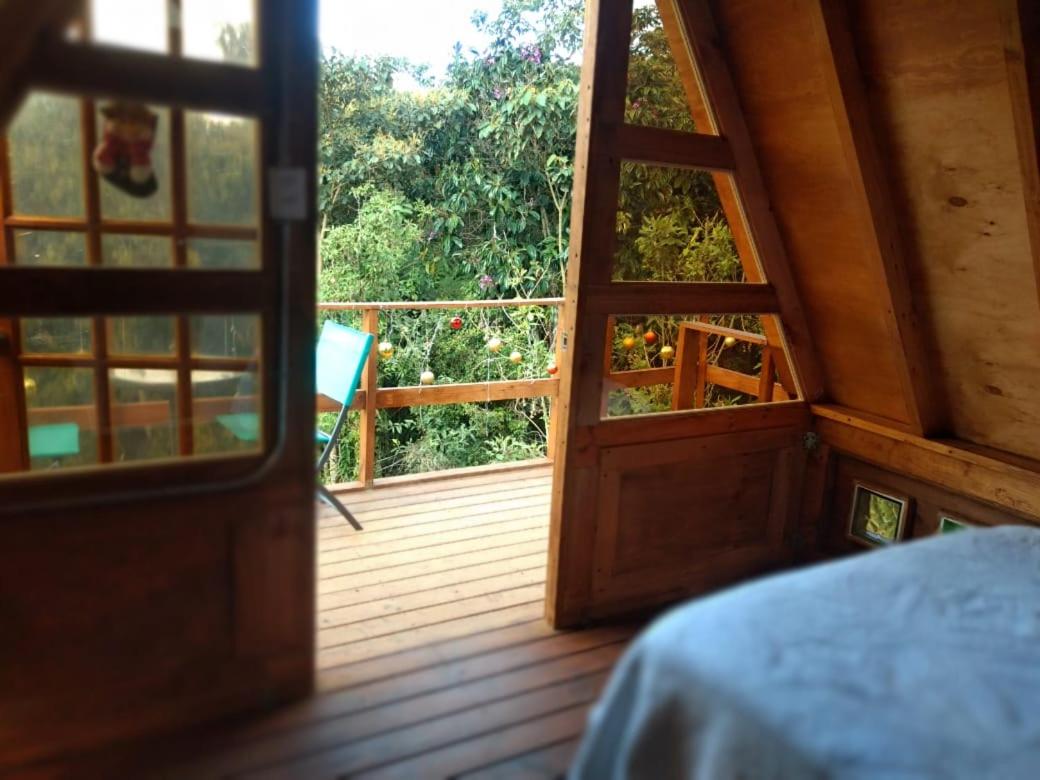 Chalets en Santa Elena en medio del Bosque